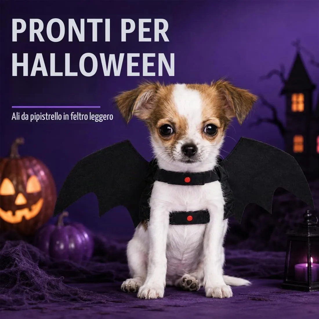 LBMOUD Halloween Costume halloween gatto per Animale Cane Gatto,ali pipistrello Costume da pipistrello,cosplay gatto - immagine 2