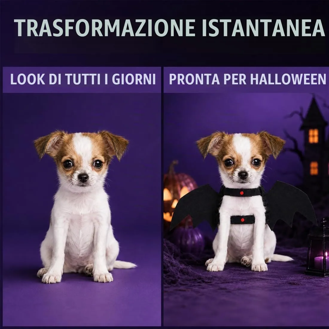 LBMOUD Halloween Costume halloween gatto per Animale Cane Gatto,ali pipistrello Costume da pipistrello,cosplay gatto - immagine 4