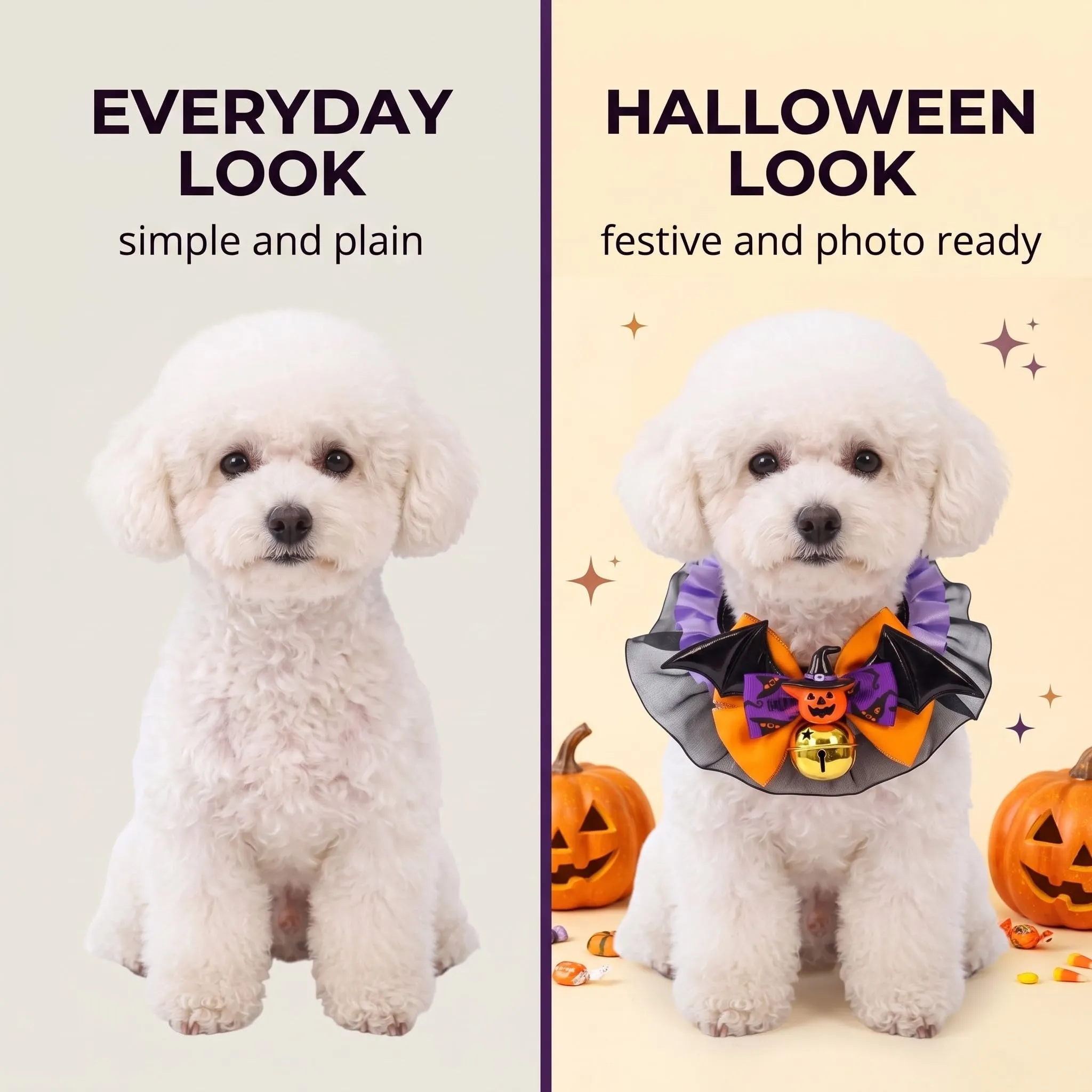 Collare Cane Halloween con Papillon Zucca, Accessori Halloween Animali Domestici, Collare Gatto Regolabile Taglia M per Travestimento Festa e Foto - immagine 4