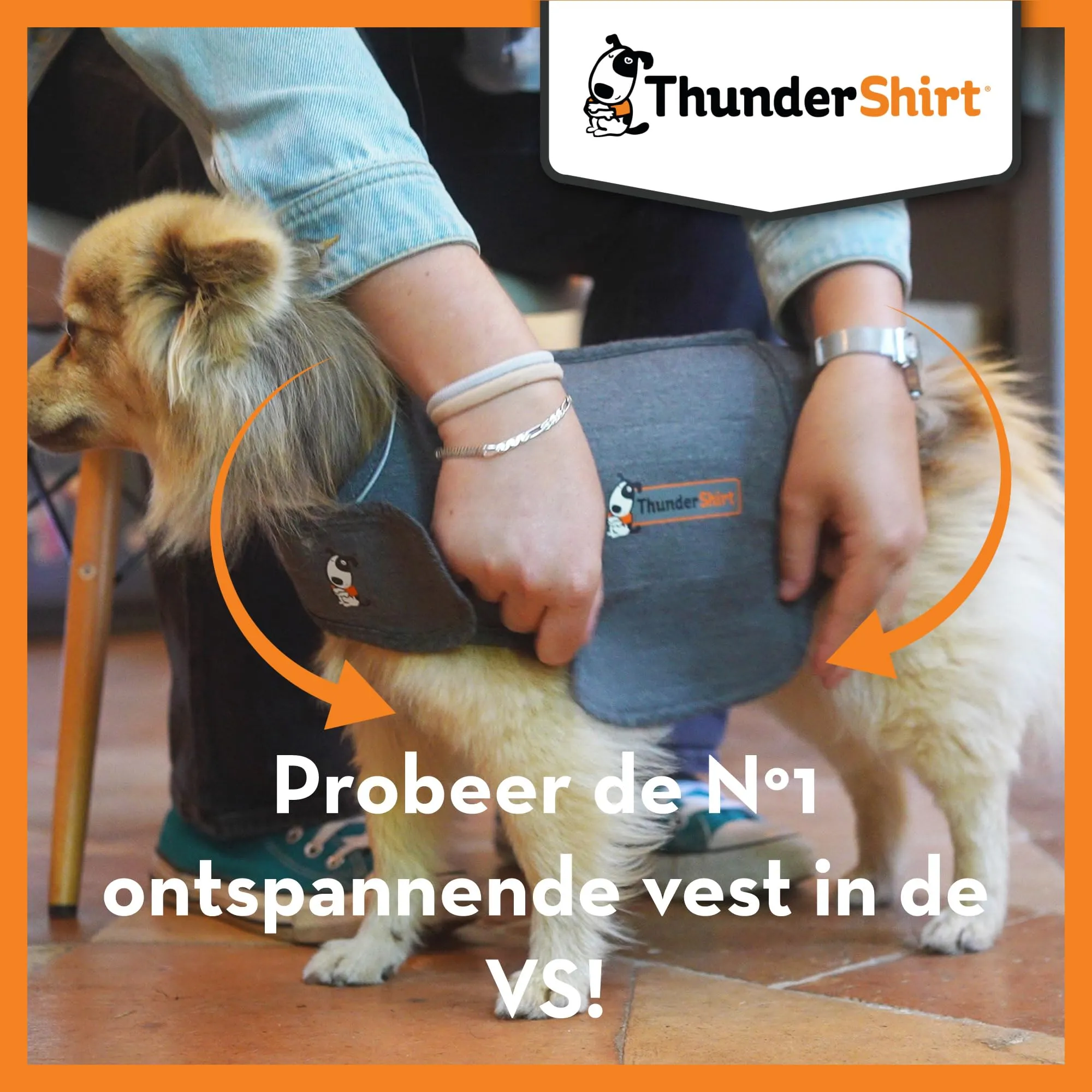 Thundershirt Cappottino Calmante per Cani Taglia S Riduce Ansia e Stress da Rumori Forti, Ansia da Separazione, Viaggi e Comportamenti Stressanti - immagine 2