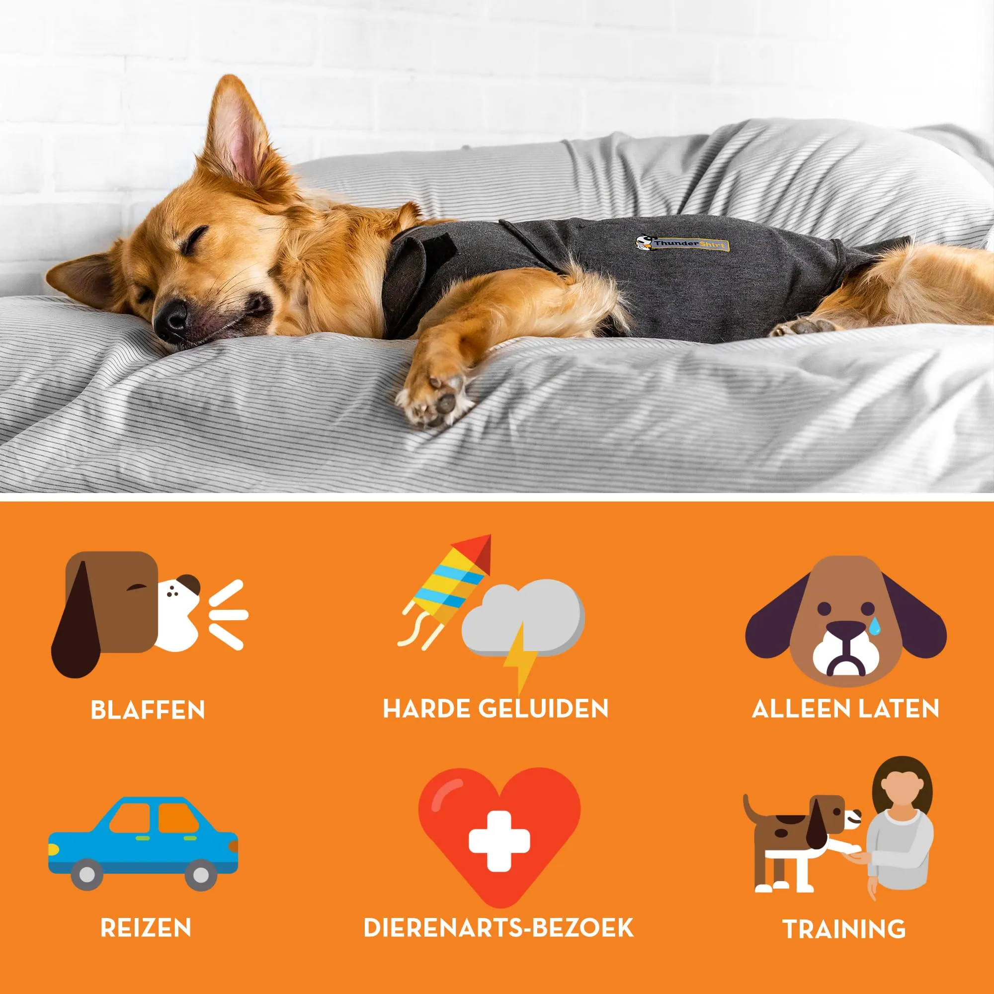 Thundershirt Cappottino Calmante per Cani Taglia S Riduce Ansia e Stress da Rumori Forti, Ansia da Separazione, Viaggi e Comportamenti Stressanti - immagine 4