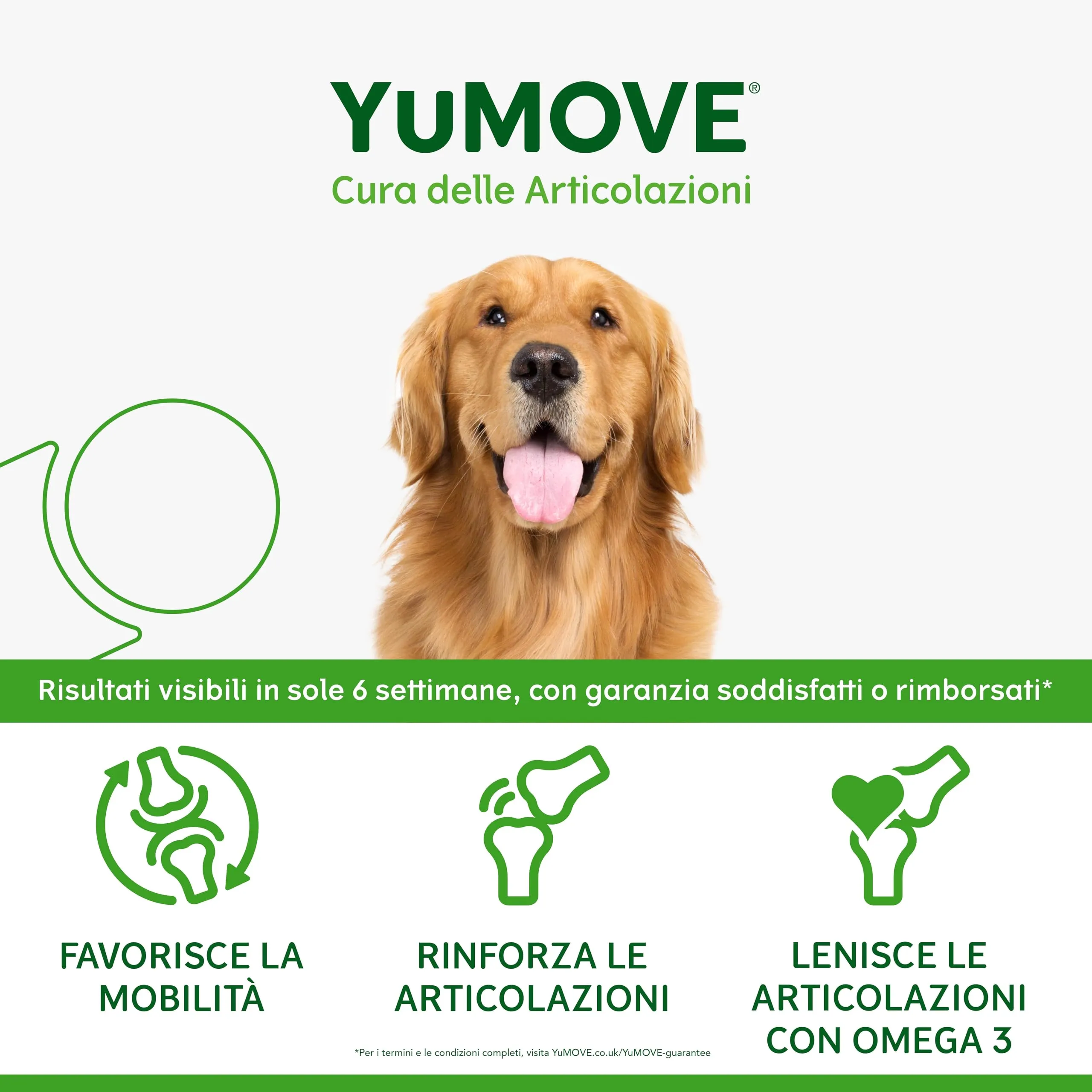 Yumove Integratore Articolazioni Cane 2-7 Anni – 300 Compresse ActivEase - immagine 4