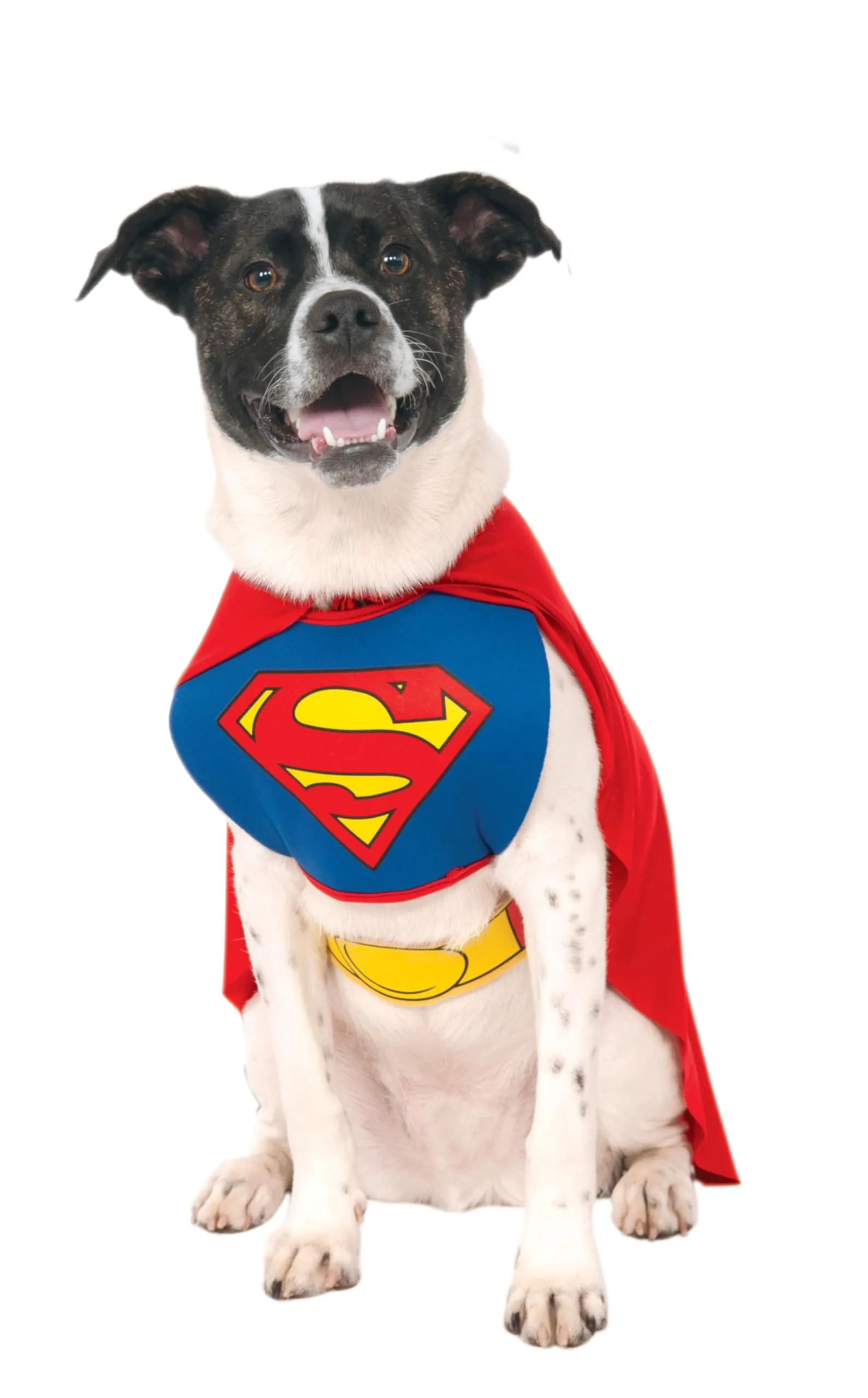 Rubie's Costume Superman Dog per Cani (887892-L) - immagine 1