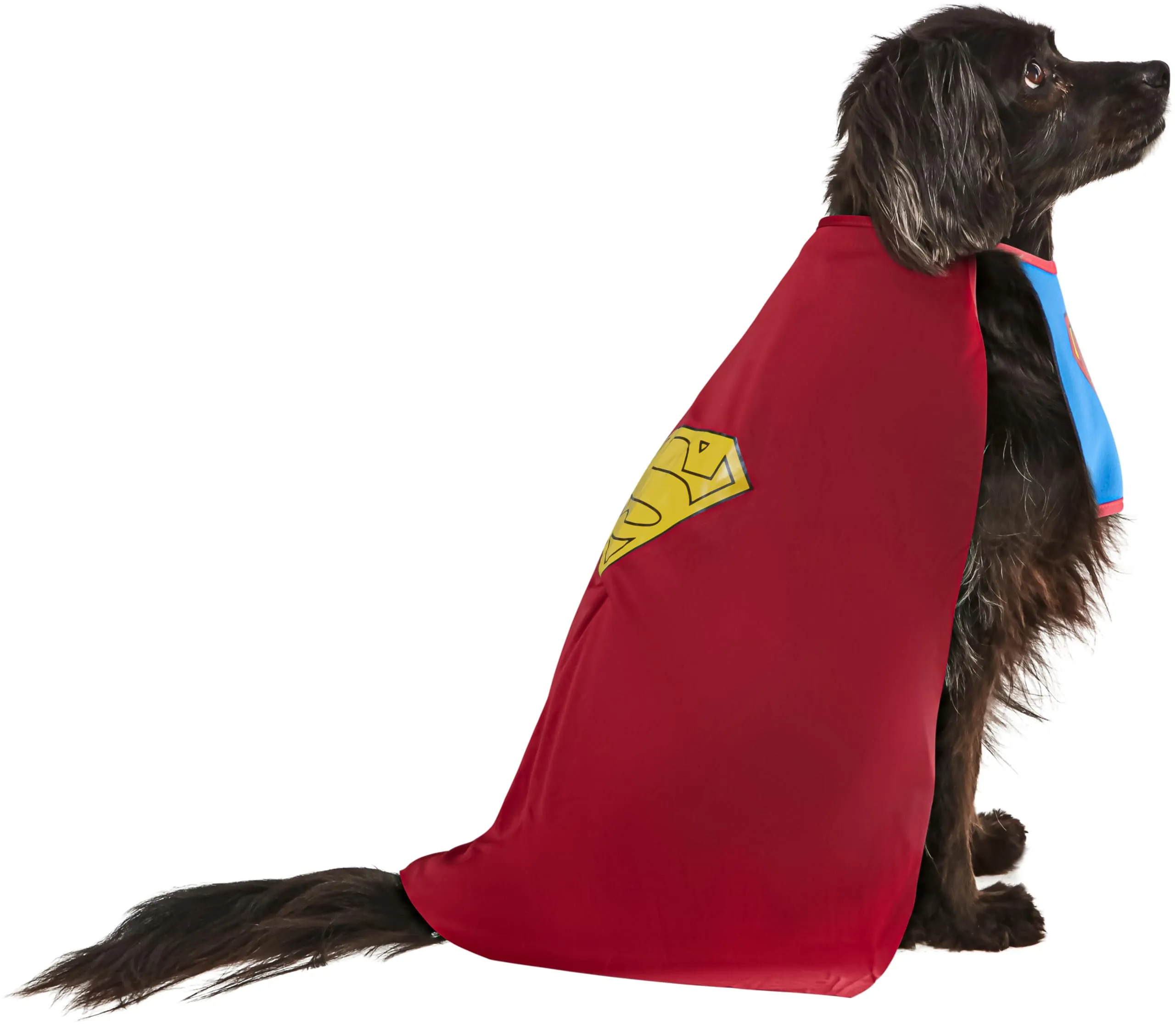 Rubie's Costume Superman Dog per Cani (887892-L) - immagine 9
