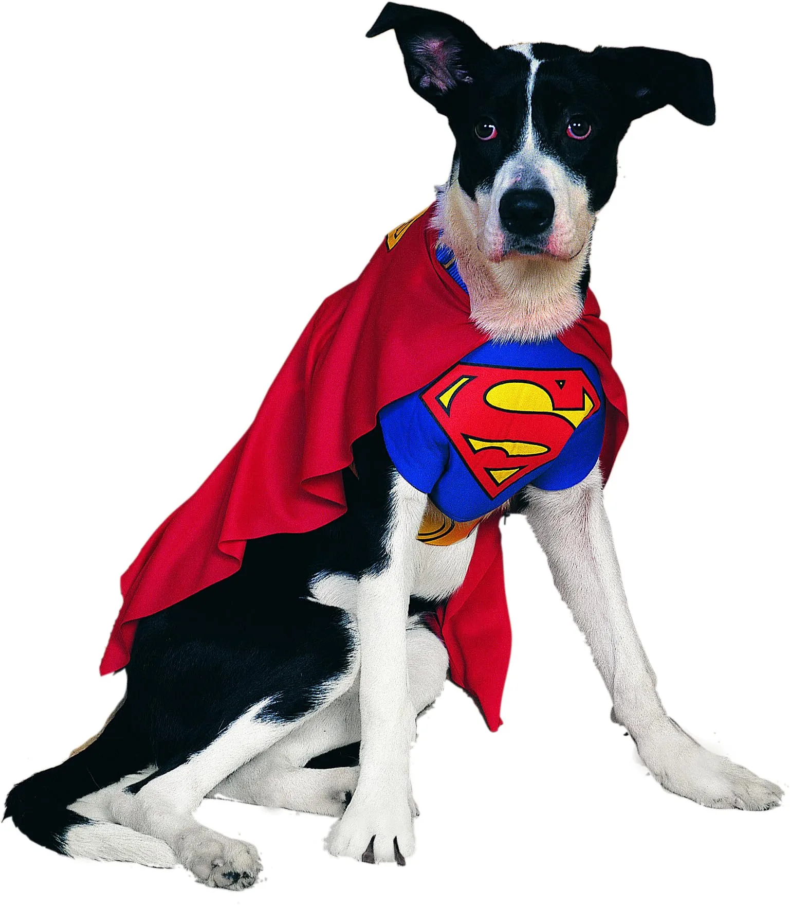 Rubie's Costume Superman Dog per Cani (887892-S) - immagine 3