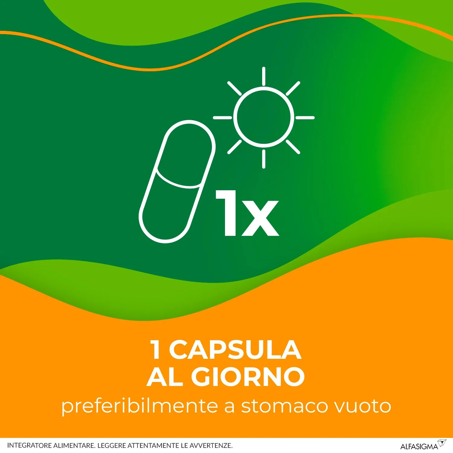 Enterolactis confezione da 20 Capsule apribili: Fermenti lattici, Probiotici, supporto alla flora intestinale - immagine 5