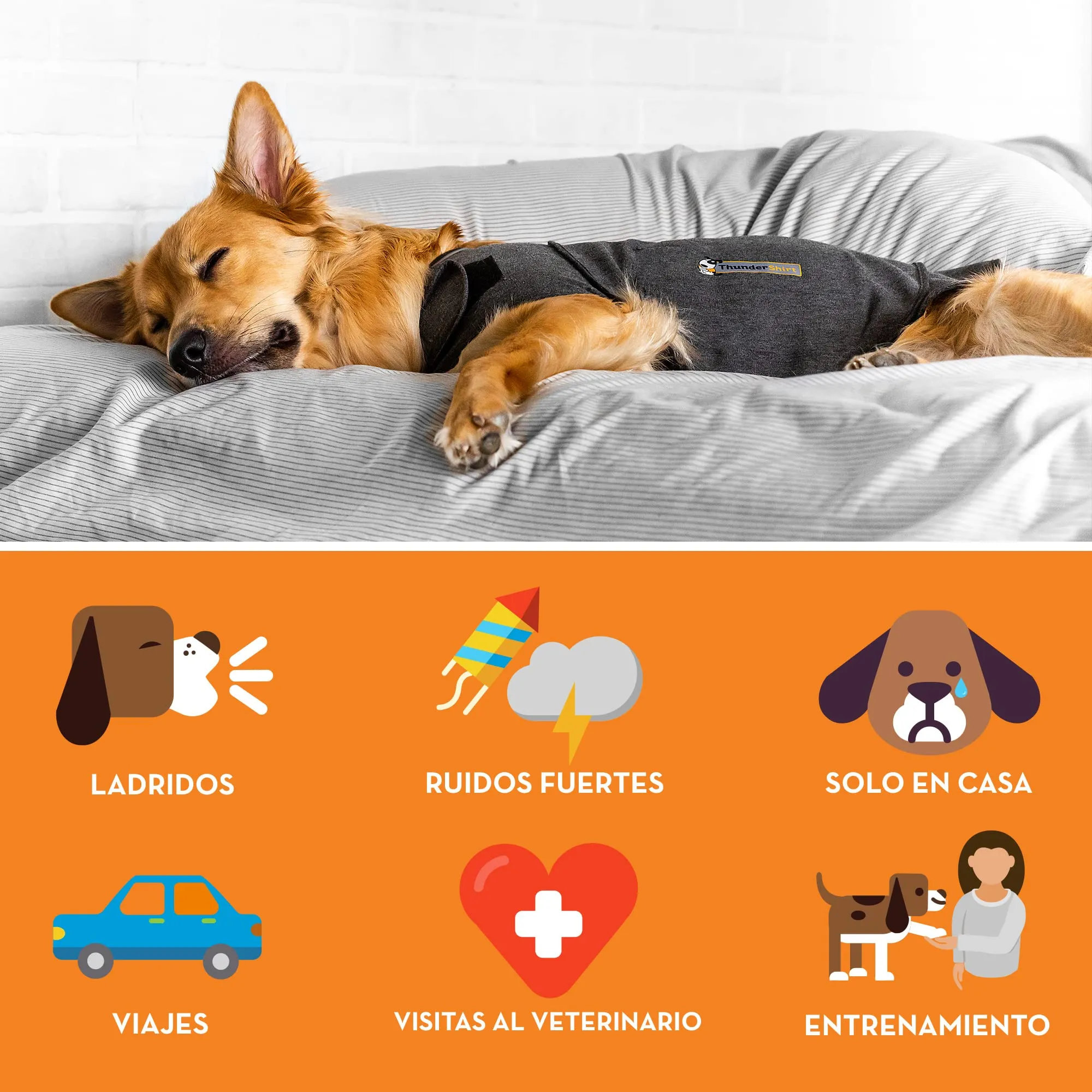 Thundershirt Cappotto per Aiutare i Cani a Combattere l'ansia - immagine 2