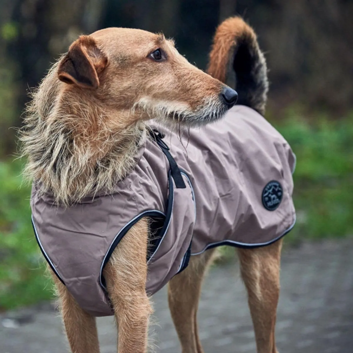 Cappottino per cani Uppsala, 80 cmtaupe - immagine 8