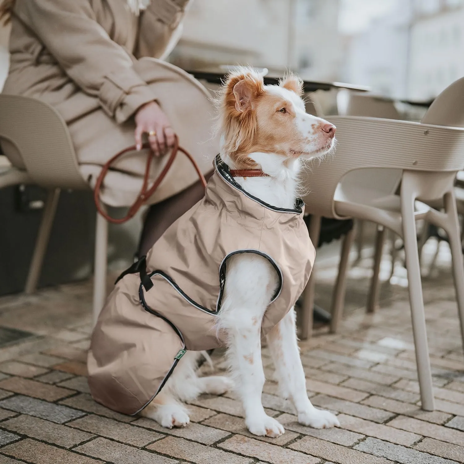 Cappottino per cani Uppsala, 40 cmtaupe - immagine 8
