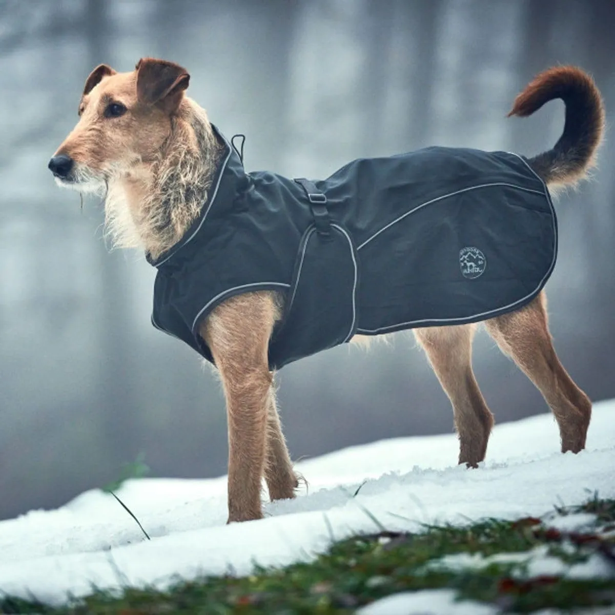 HUNTER Cappottino per Cani Uppsala, 35 cmnero - immagine 2
