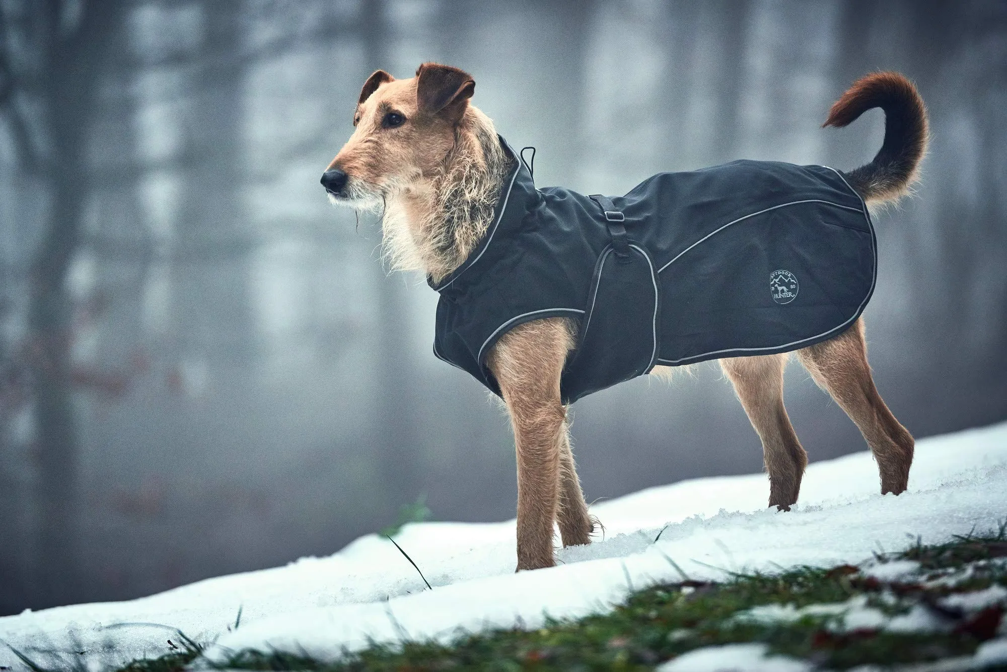 HUNTER Cappottino per cani Uppsala, 80 cmnero - immagine 8