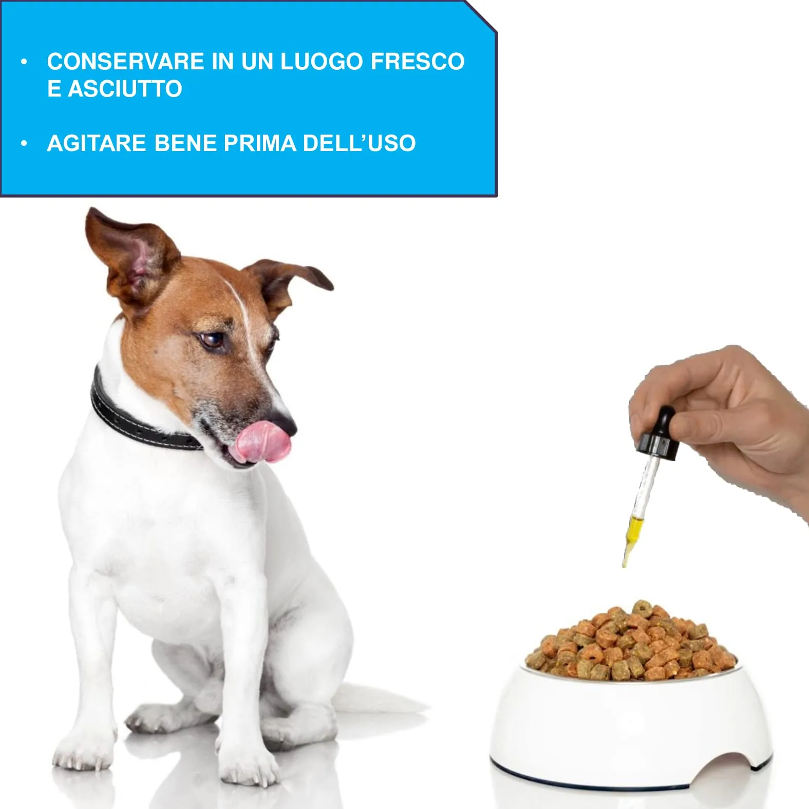 MAALINGAN® Olio di Canapa Calmante Forte per Cani e Gatti | Integratore Articolazioni | Tranquillante Contro Stress e Ansia | Gocce 100% Vegetali uso Veterinario | Omega 3, 8 Selenio | 1000MG 30ML - immagine 6