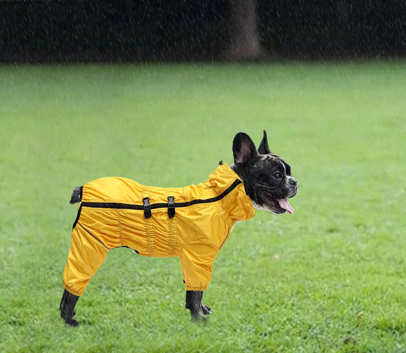 Geyecete - 1/2 zampe pantaloni tuta impermeabile per cani, 4 gambe riflettente pioggia impermeabile Gear per cani, Con cerniera e fibbia, per cuccioli piccolo e medio-Giallo-XL - immagine 4