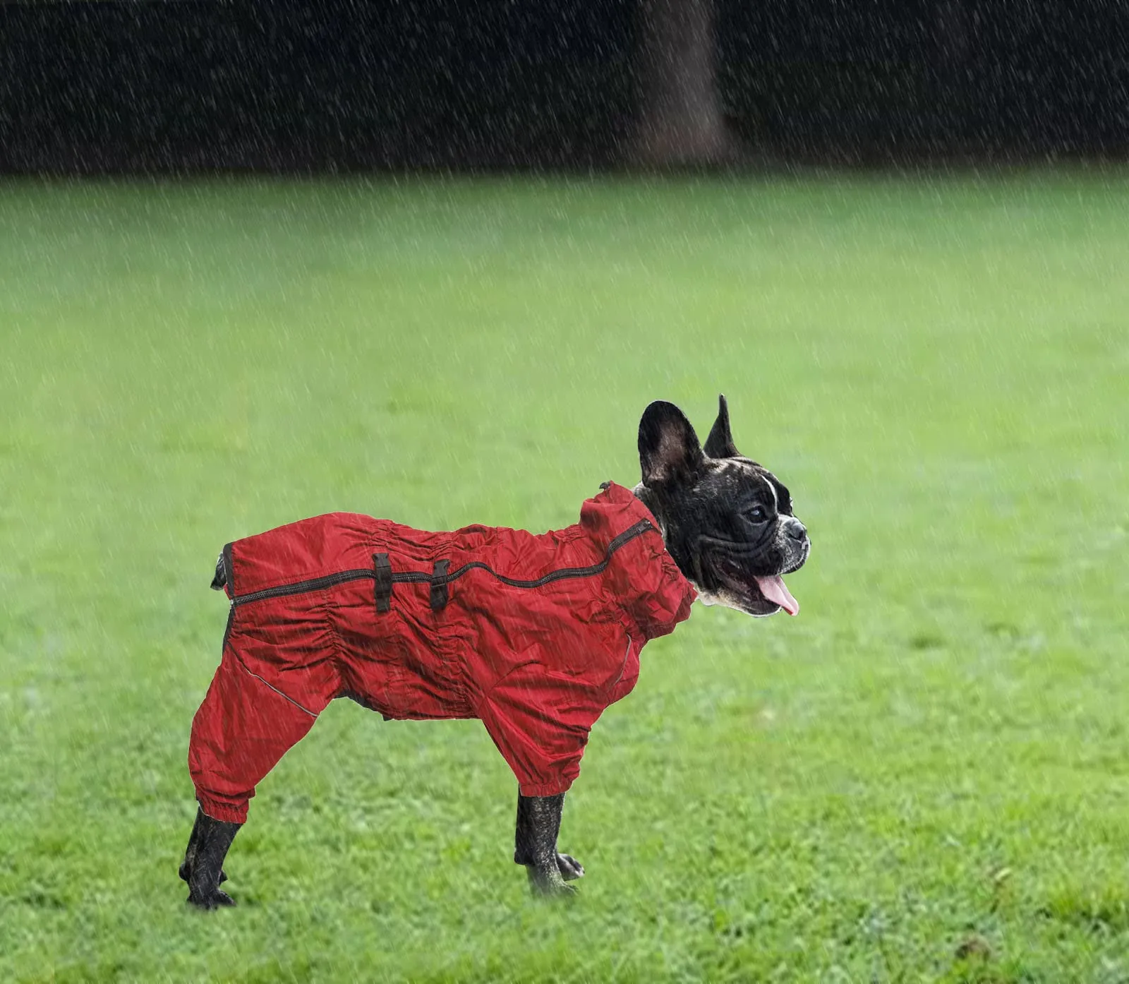 Geyecete - 1/2 zampe pantaloni tuta impermeabile per cani, 4 gambe riflettente pioggia impermeabile Gear per cani, Con cerniera e fibbia, per cuccioli piccolo e medio-Rosso-XL - immagine 4