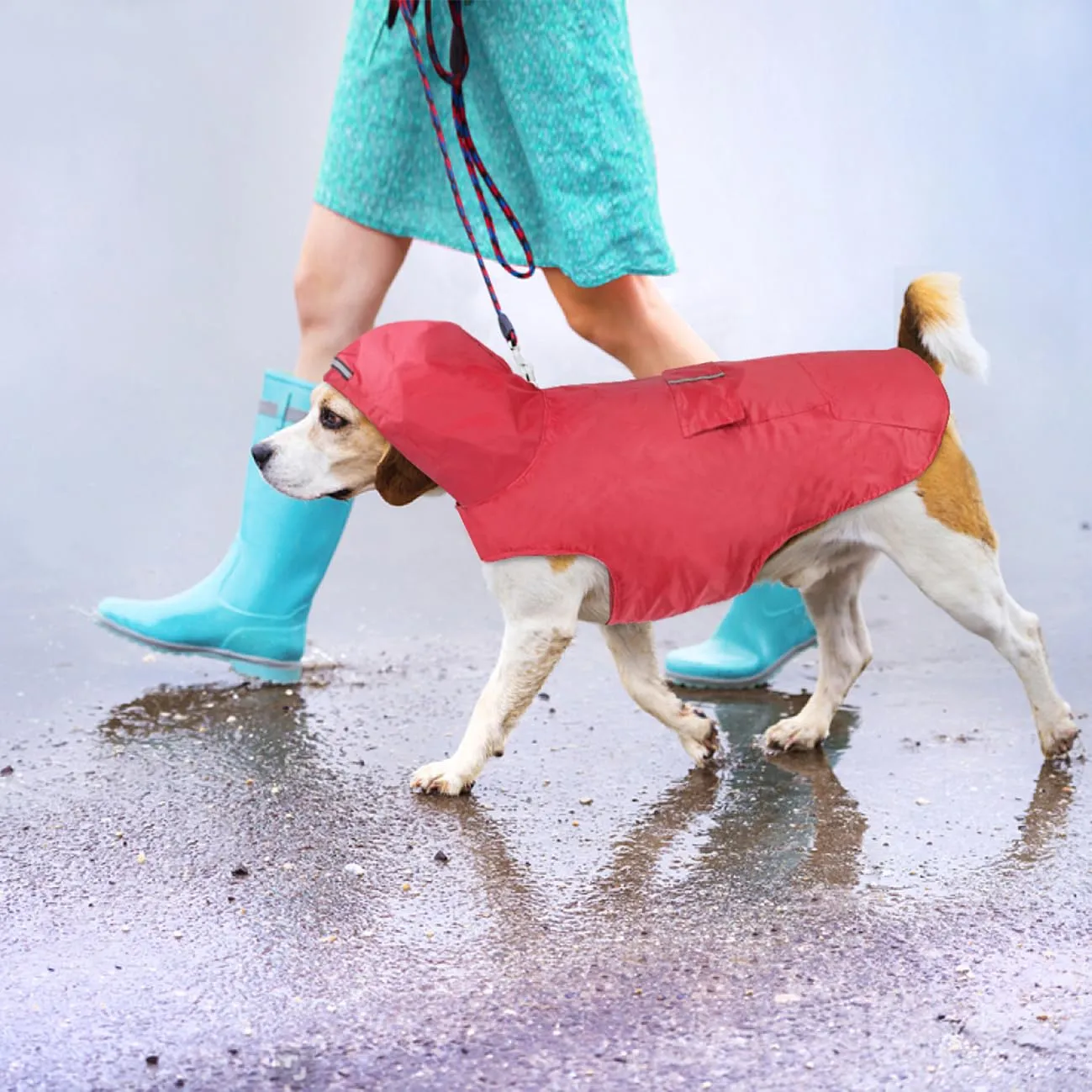 Idepet - Mantella per cani con cappuccio e foro per il collare, impermeabile e riflettente, per cani di piccola, media e grande taglia Rosso - immagine 7