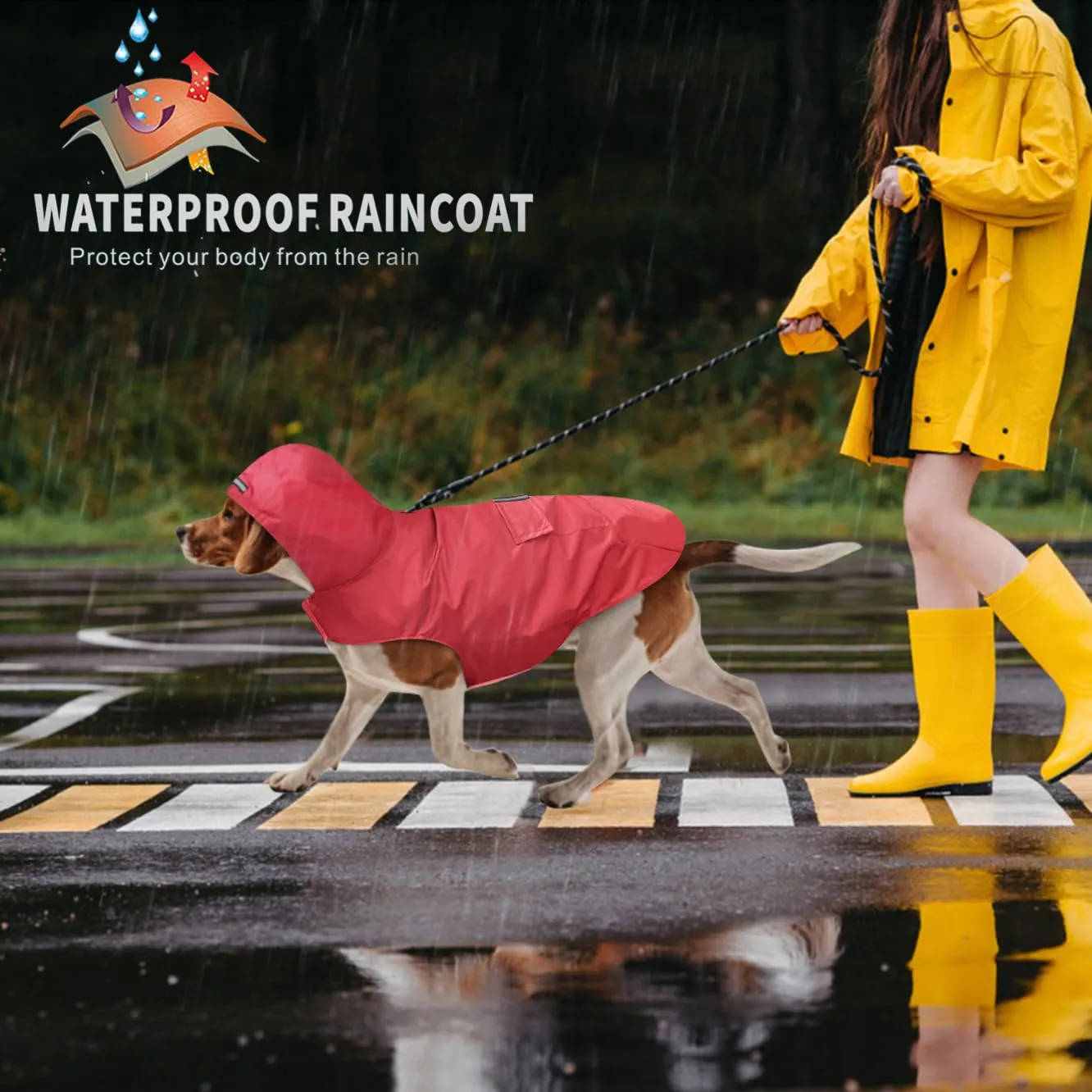 Idepet - Mantella per cani con cappuccio e foro per il collare, impermeabile e riflettente, per cani di piccola, media e grande taglia - immagine 5