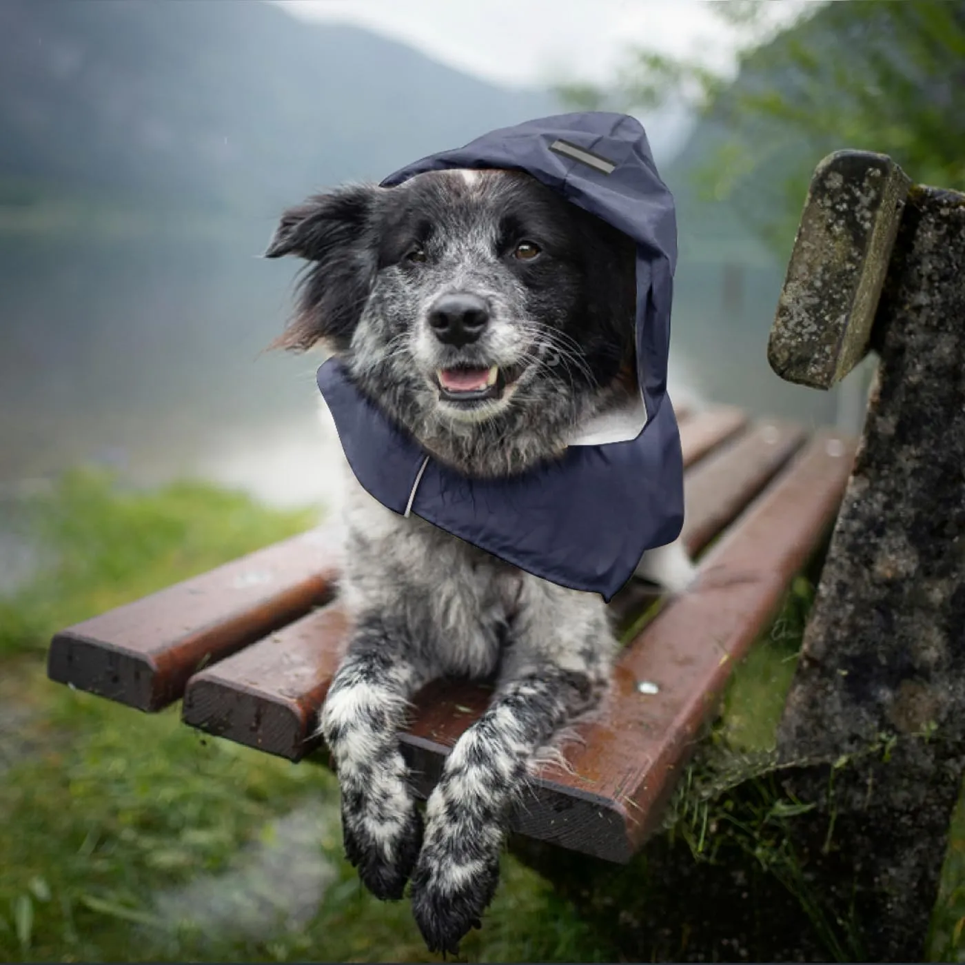 Idepet - Mantella per cani con cappuccio e foro per il collare, impermeabile e riflettente, per cani di piccola, media e grande taglia Blu Marino - immagine 4