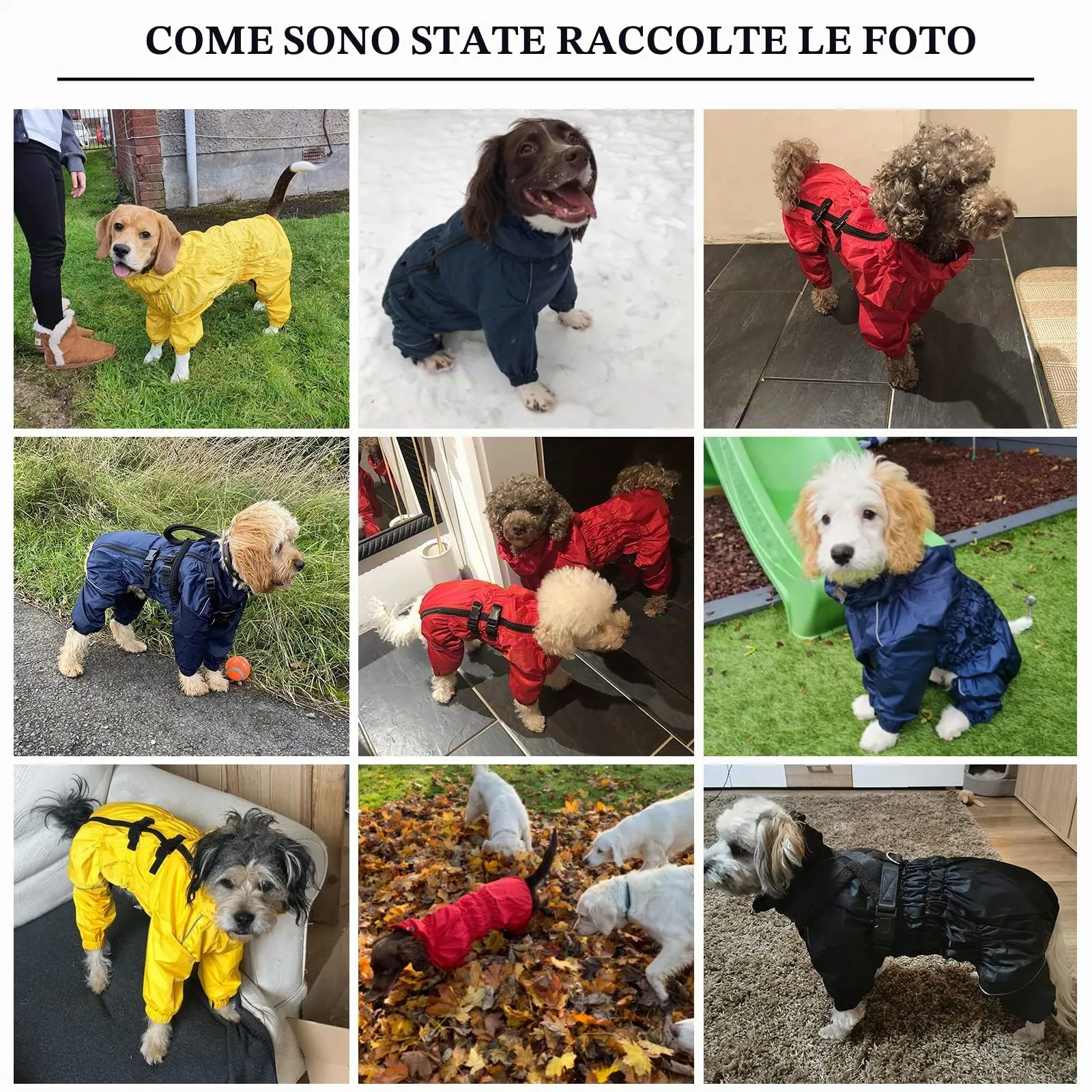 Geyecete - 1/2 zampe pantaloni tuta impermeabile per cani, 4 gambe riflettente pioggia impermeabile Gear per cani, Con cerniera e fibbia, per cuccioli piccolo e medio-Scuro Blu -M - immagine 6