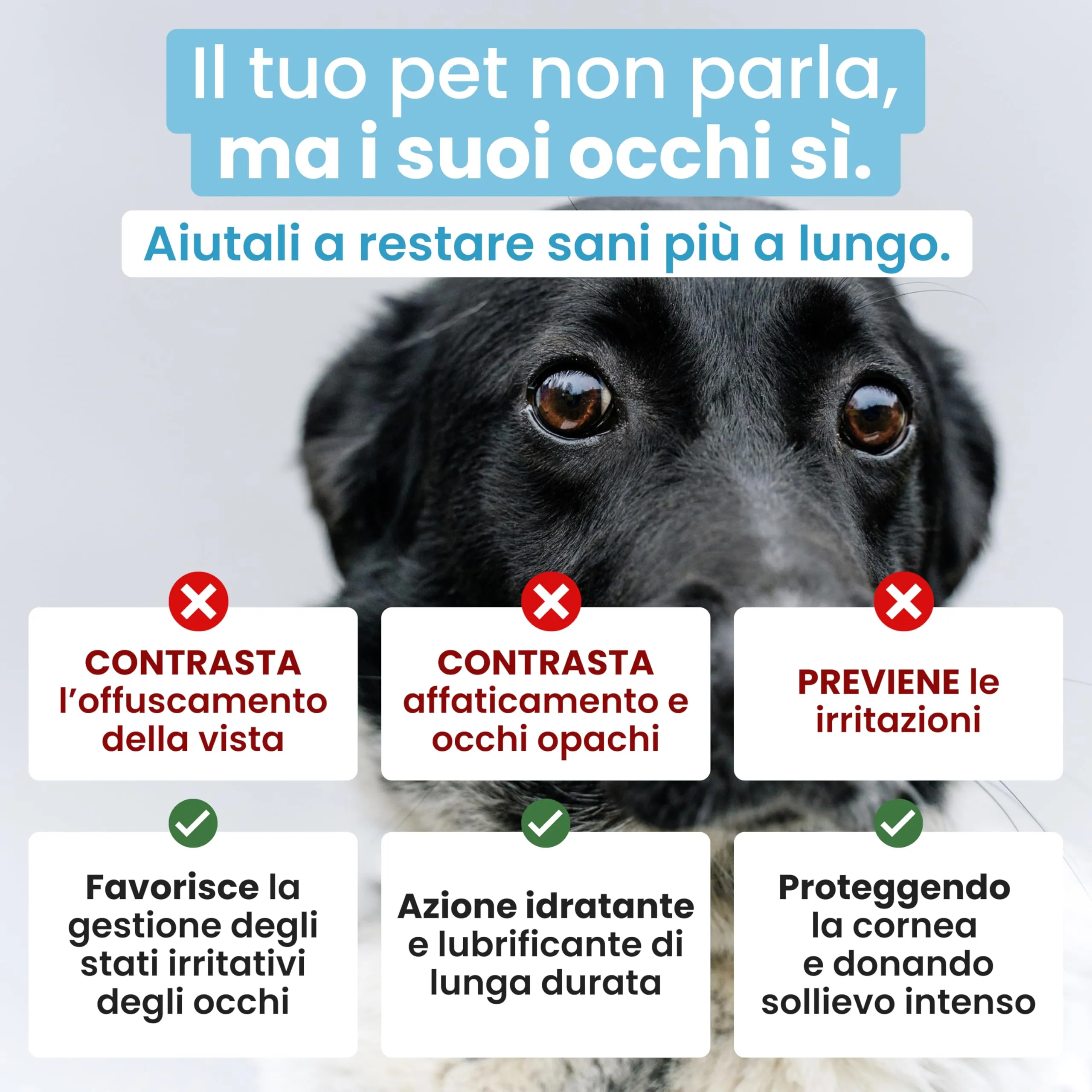 Trebifarma Soluzione Oftalmica Lubrificante Cani, Gatti, Conigli e Cavalli - immagine 3