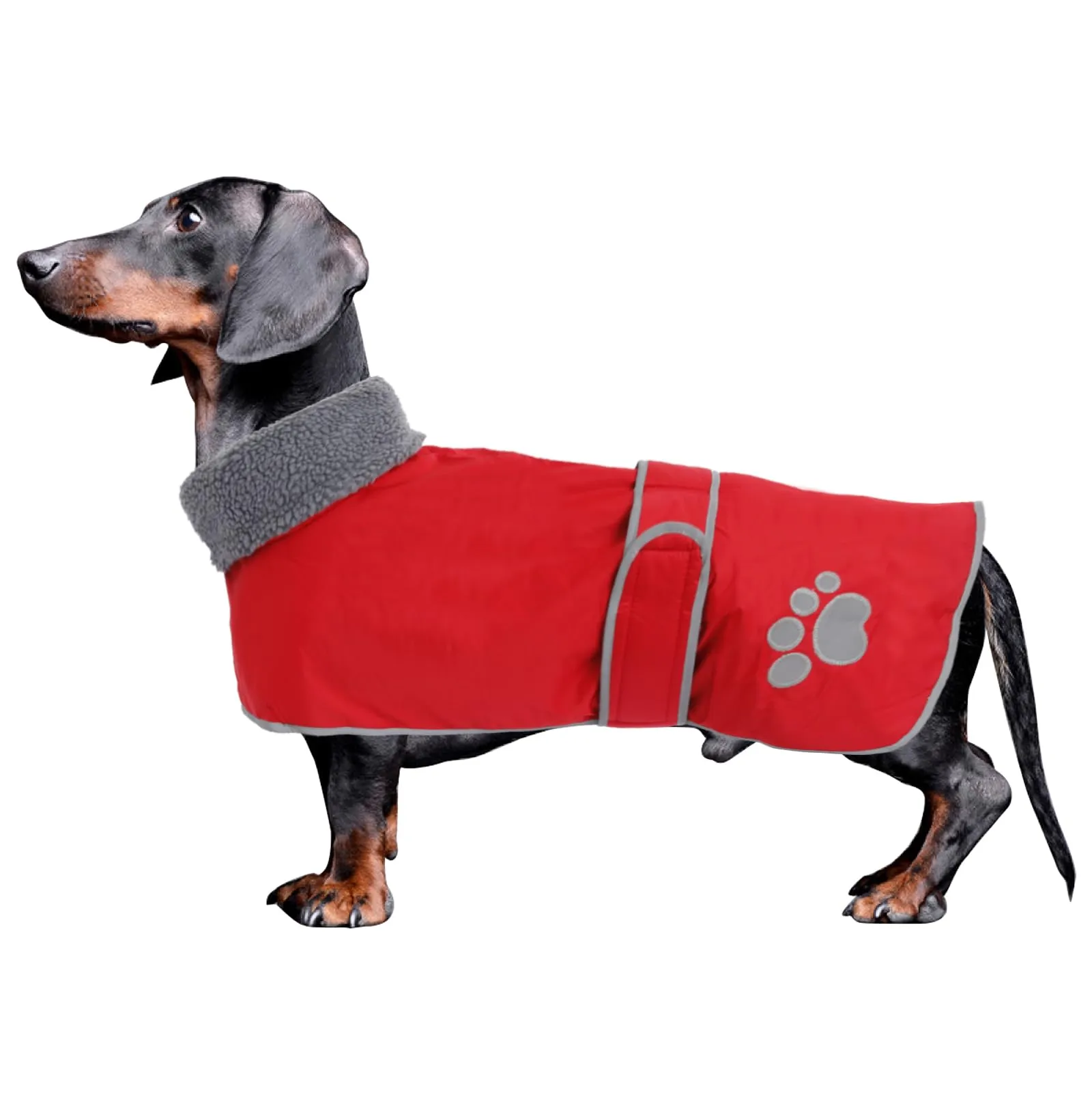 Geyecete -Invernale Cappotto per cane bassotti, con fodera in pile polare,impermeabile abbigliamento da esterni con Foro per Imbracatura,Giacca per cani piccola y media-Rosso-M - immagine 1