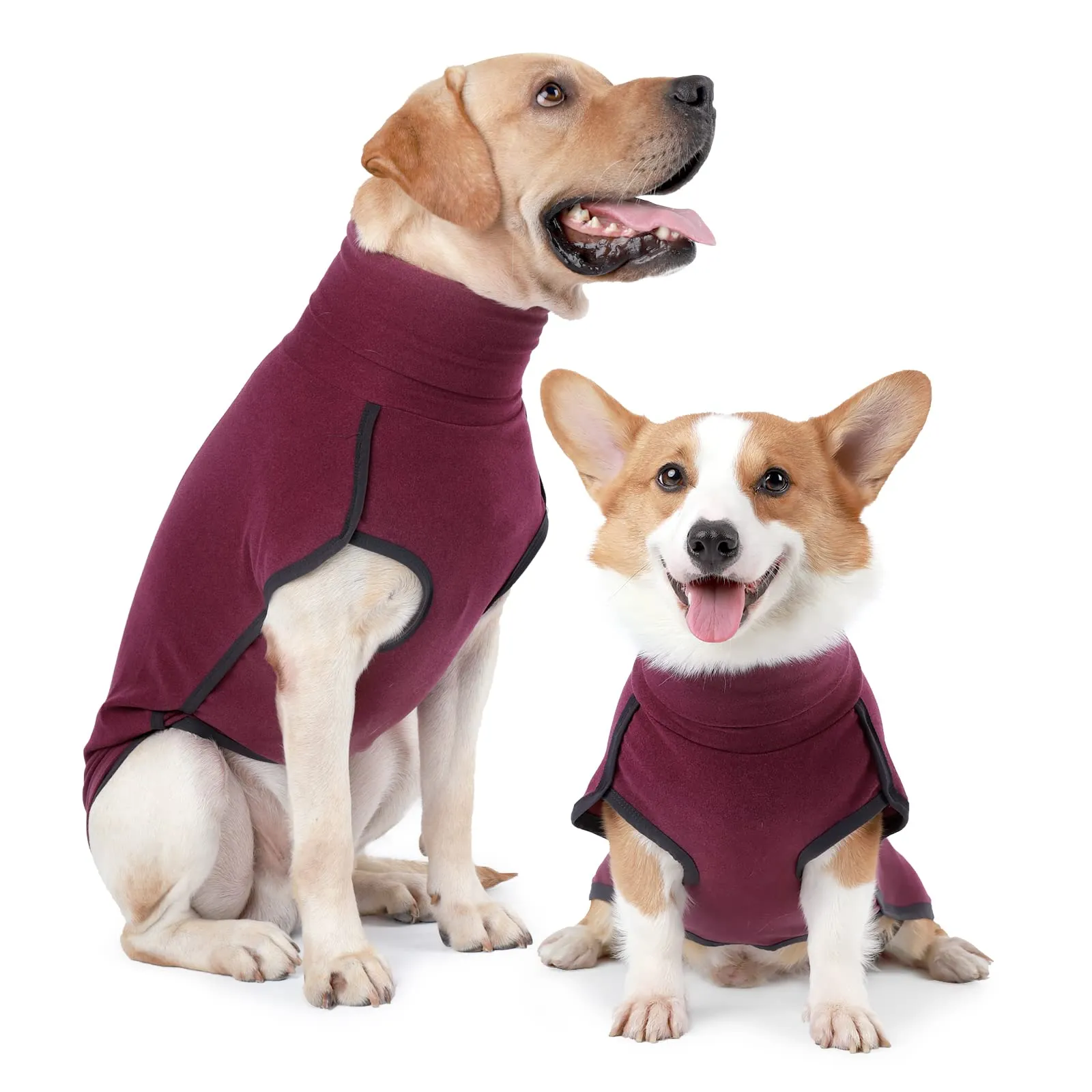 HEYWEAN Felpa per cani Gilet in pile elasticizzato Pullover per cani caldi Pullover per cani di piccola e media taglia Abbigliamento invernale per interni ed esterni - immagine 1