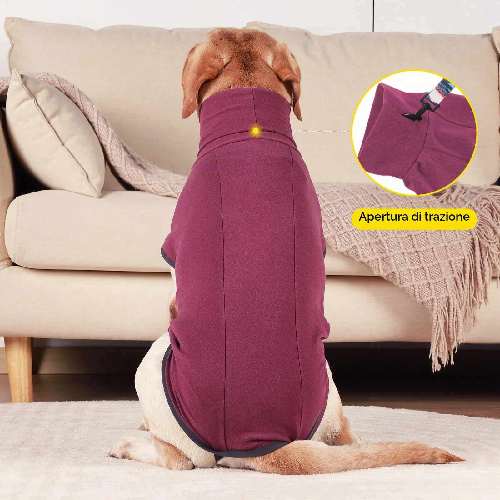 HEYWEAN Felpa per cani Gilet in pile elasticizzato Pullover per cani caldi Pullover per cani di piccola e media taglia Abbigliamento invernale per interni ed esterni - immagine 6