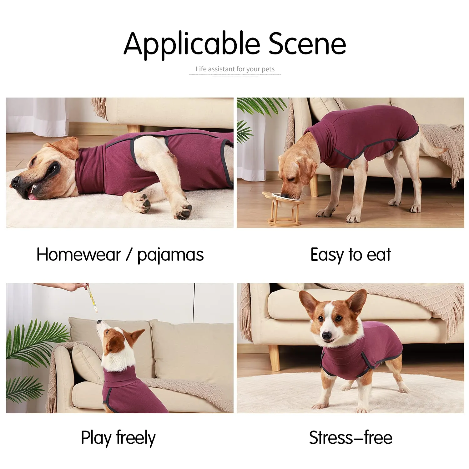 HEYWEAN Felpa per cani Gilet in pile elasticizzato Pullover per cani caldi Pullover per cani di piccola e media taglia Abbigliamento invernale per interni ed esterni - immagine 4
