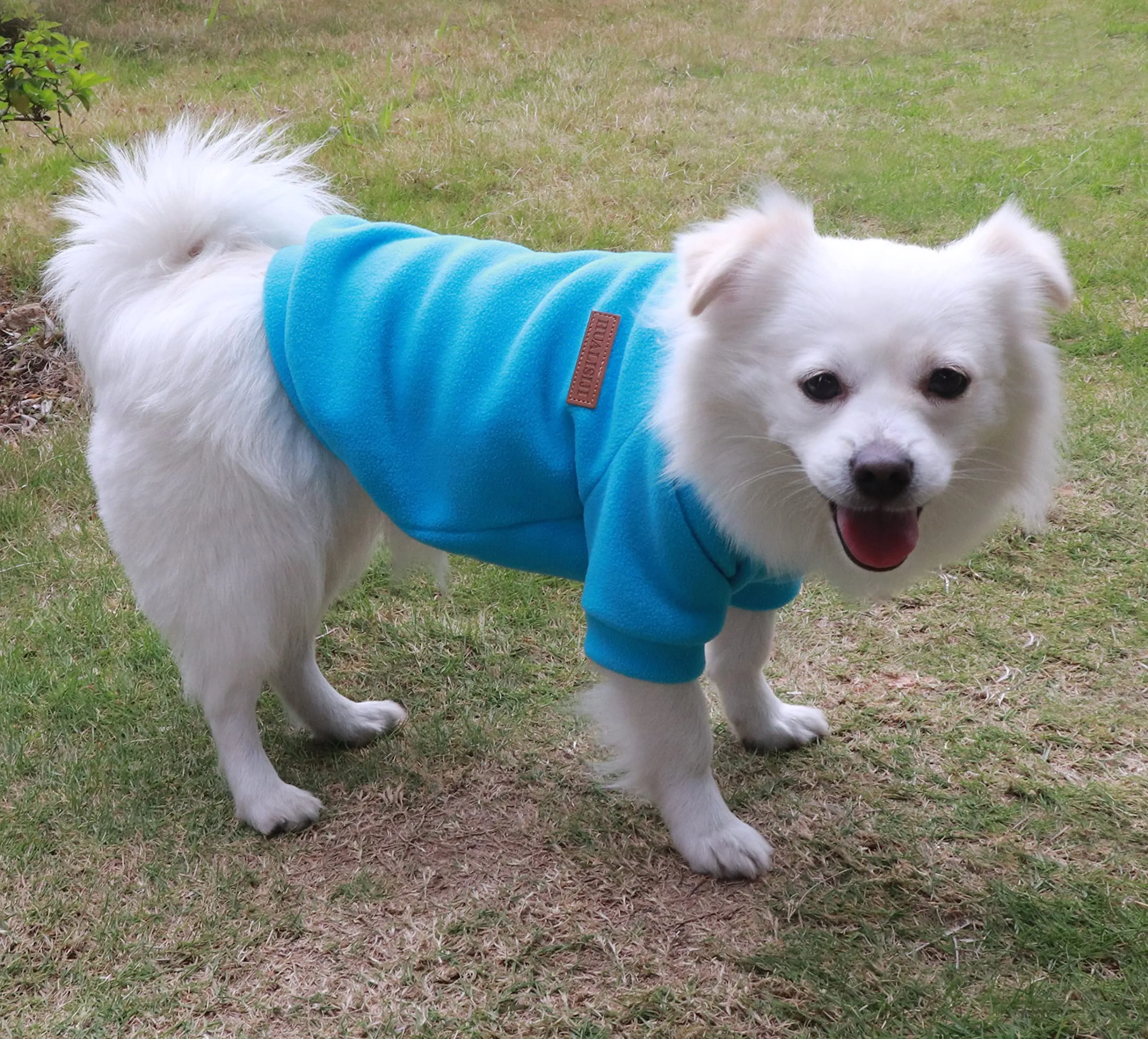 HuaLiSiJi Felpa Cane Pile Felpa per Cani Maglioncino Cane Maglione Chihuahua,Con Una Texture Morbida, Elastico Facile da Indossare e Colori Vivaci (S,Blu+Grigio) - immagine 4