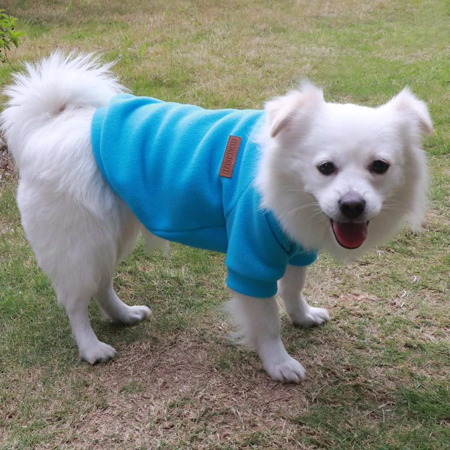 HuaLiSiJi Felpa Cane Pile Felpa per Cani Maglioncino Cane Maglione Chihuahua,Con Una Texture Morbida, Elastico Facile da Indossare e Colori Vivaci (S, Blu) - immagine 4
