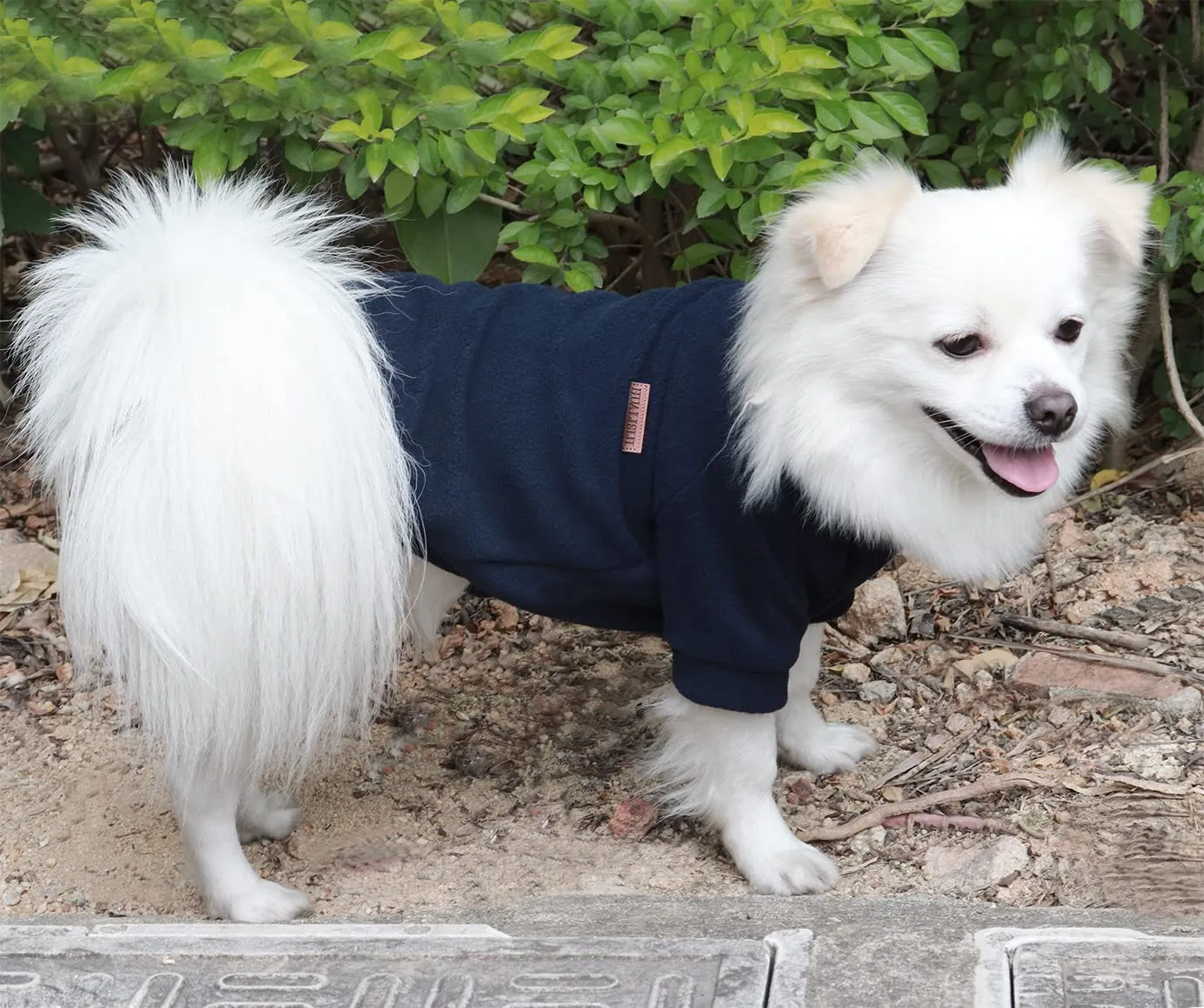 HuaLiSiJi Felpa Cane Pile Felpa per Cani Maglioncino Cane Maglione Chihuahua,Con Una Texture Morbida, Elastico Facile da Indossare e Colori Vivaci (XS, Nero) - immagine 4