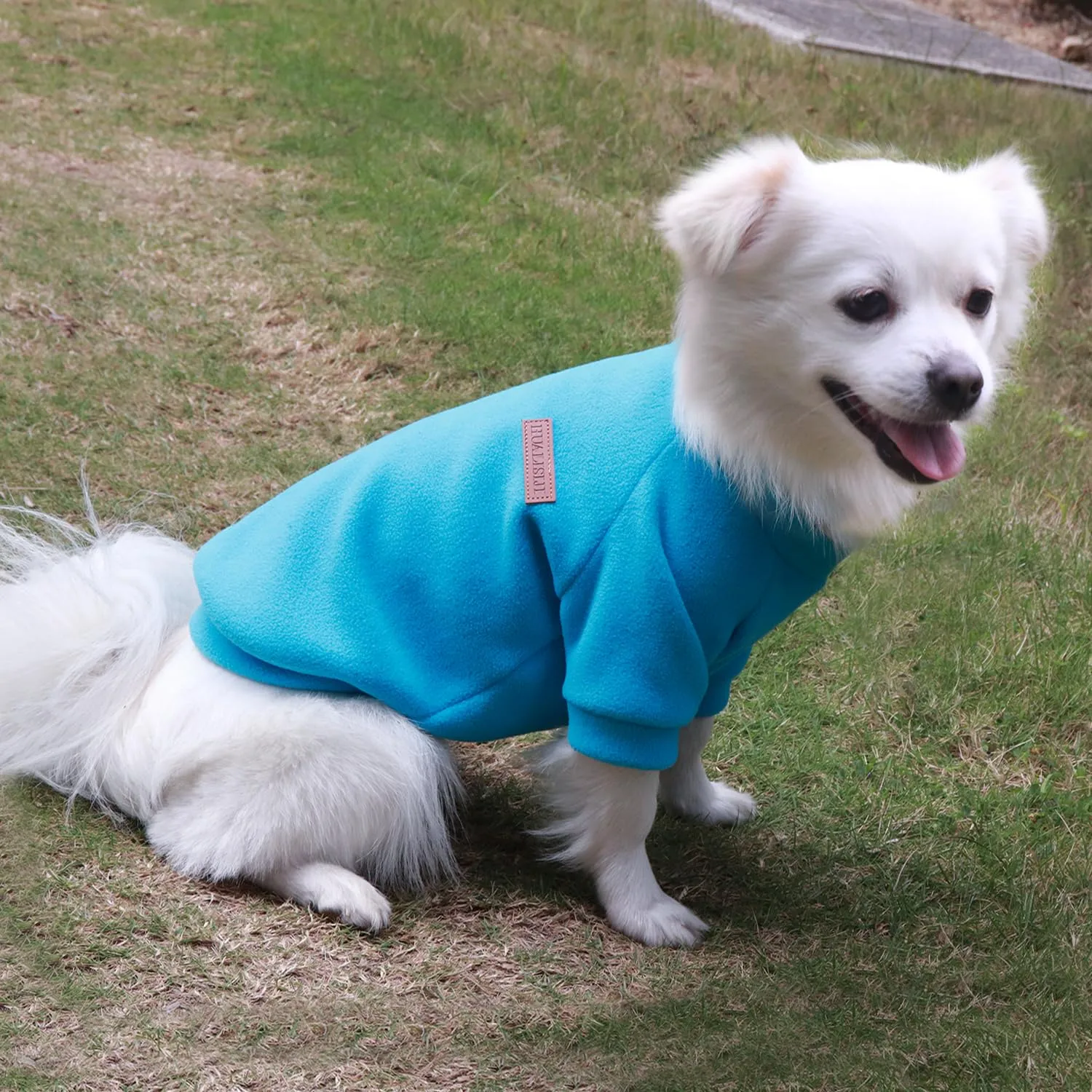 HuaLiSiJi Felpa Cane Pile Felpa per Cani Maglioncino Cane Maglione Chihuahua,Con Una Texture Morbida, Elastico Facile da Indossare e Colori Vivaci (XS, Blu) - immagine 4