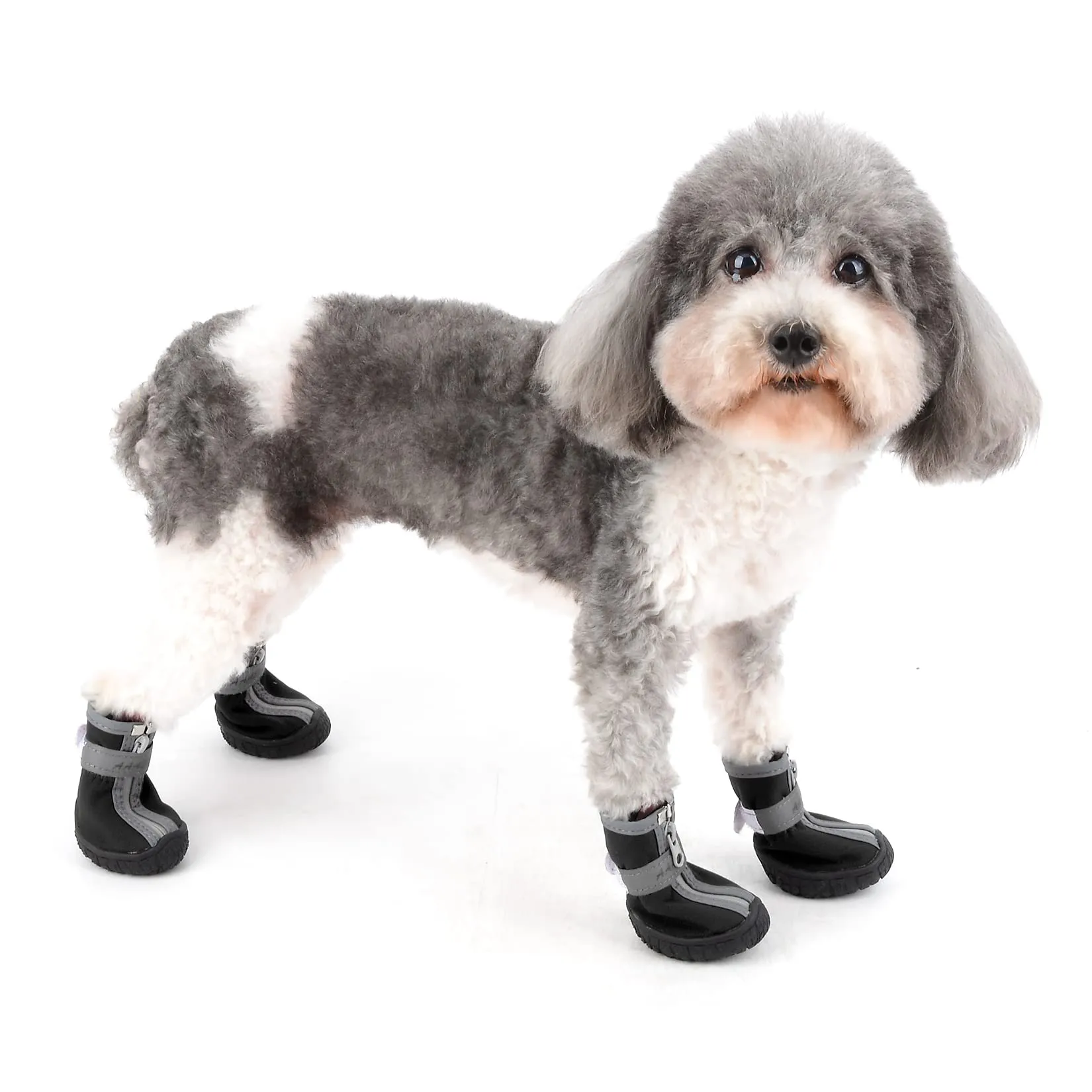 Zunea Stivali per Cani di Piccola Taglia Impermeabili Protezione per Zampe Scarpe Antiscivolo Cuccioli Regolabili Riflettenti Stivali Morbidi Animali Domestici Cani Chihuahua Stivali Nero 3# - immagine 2