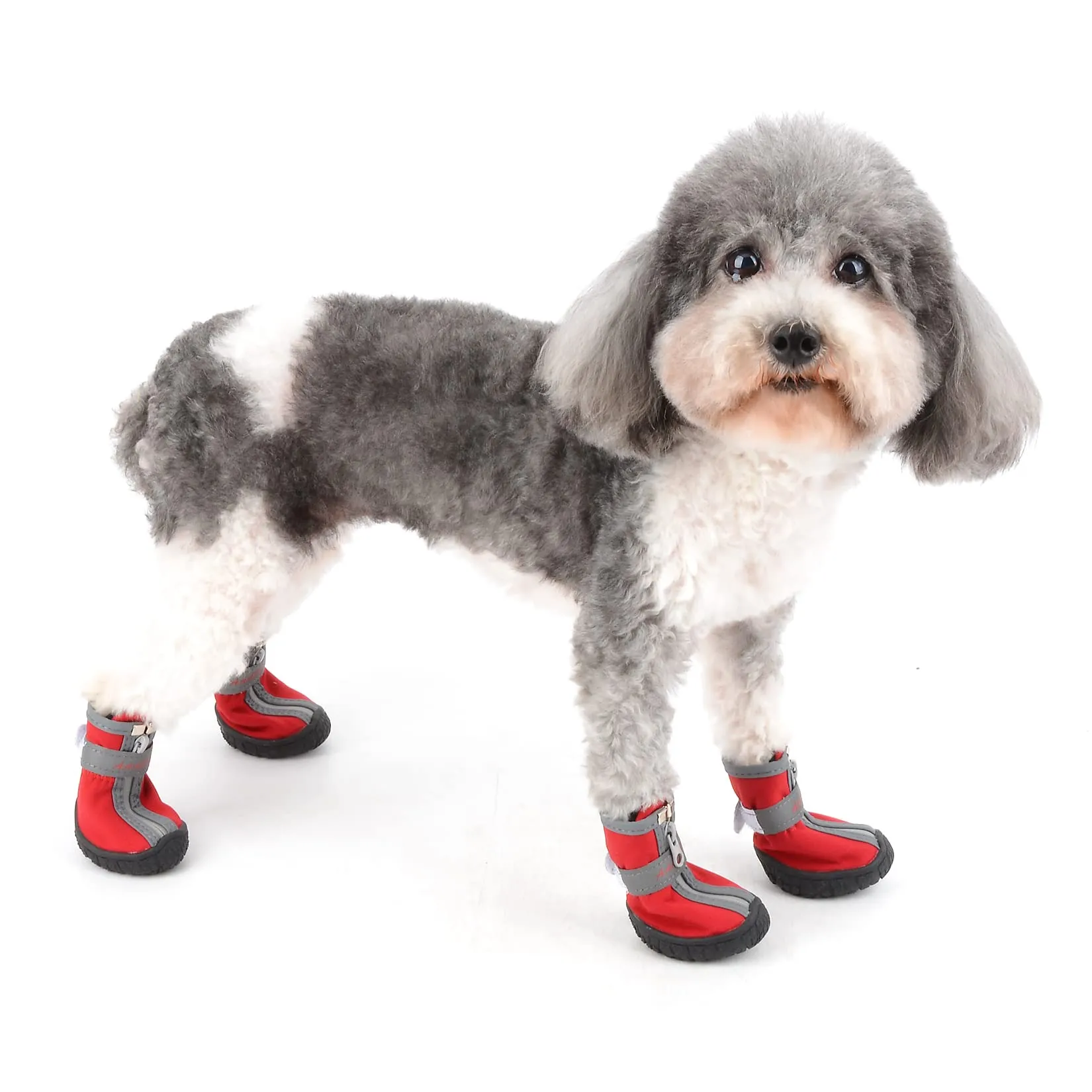 Zunea Stivali per Cani di Piccola Taglia Impermeabili Protezione per Zampe Scarpe Antiscivolo Cuccioli Regolabili Riflettenti Stivali Morbidi Animali Domestici Cani Chihuahua Stivali Rosso 2# - immagine 2