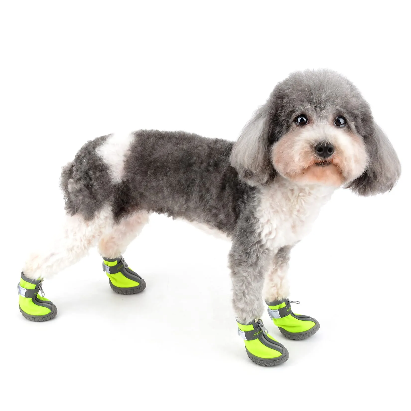 Zunea Stivali per Cani di Piccola Taglia Impermeabili Protezione per Zampe Scarpe Antiscivolo Cuccioli Regolabili Riflettenti Stivali Morbidi Animali Domestici Cani Chihuahua Stivali Verde 3# - immagine 2