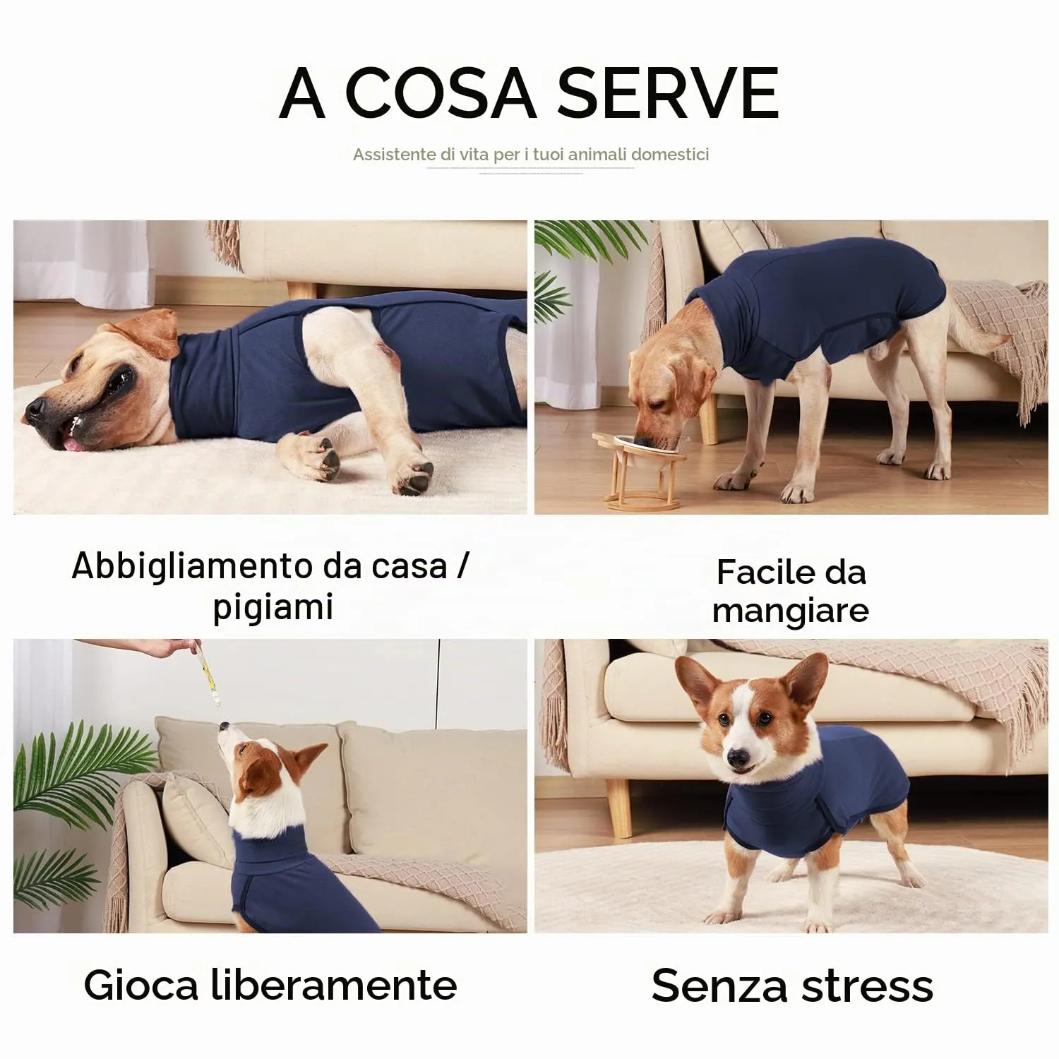 HEYWEAN Felpa per cani Gilet in pile elasticizzato Pullover per cani caldi Pullover per cani di piccola e media taglia Abbigliamento invernale per interni ed esterni - immagine 3