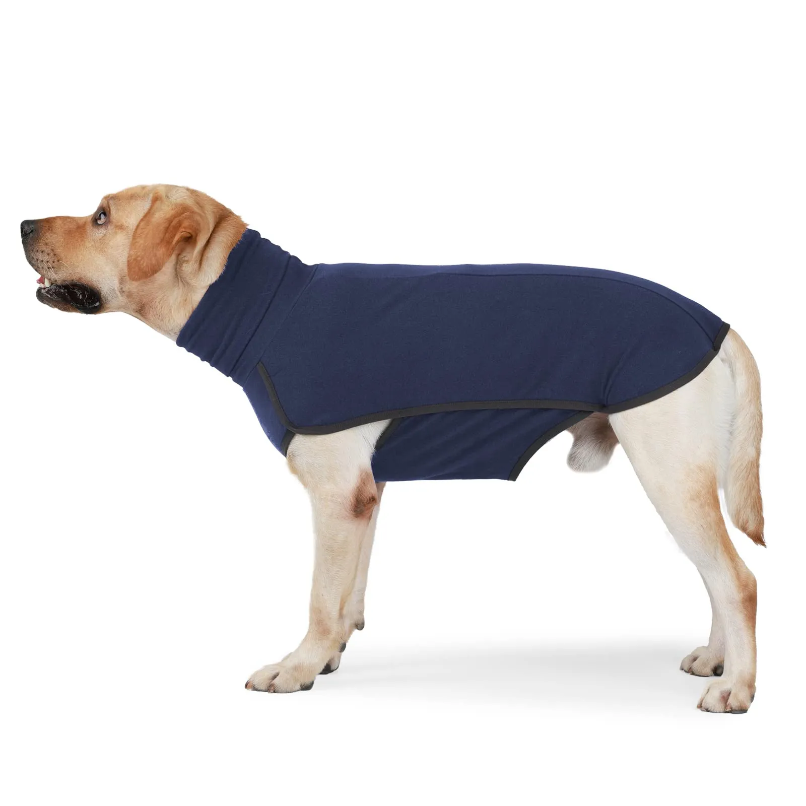 HEYWEAN Felpa per cani Gilet in pile elasticizzato Pullover per cani caldi Pullover per cani di piccola e media taglia Abbigliamento invernale per interni ed esterni - immagine 8