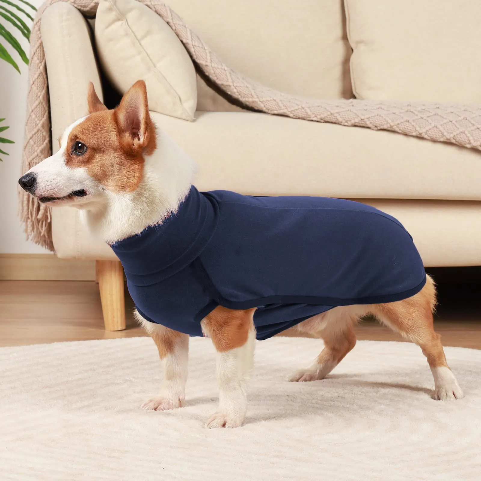 HEYWEAN Felpa per cani Gilet in pile elasticizzato Pullover per cani caldi Pullover per cani di piccola e media taglia Abbigliamento invernale per interni ed esterni - immagine 9