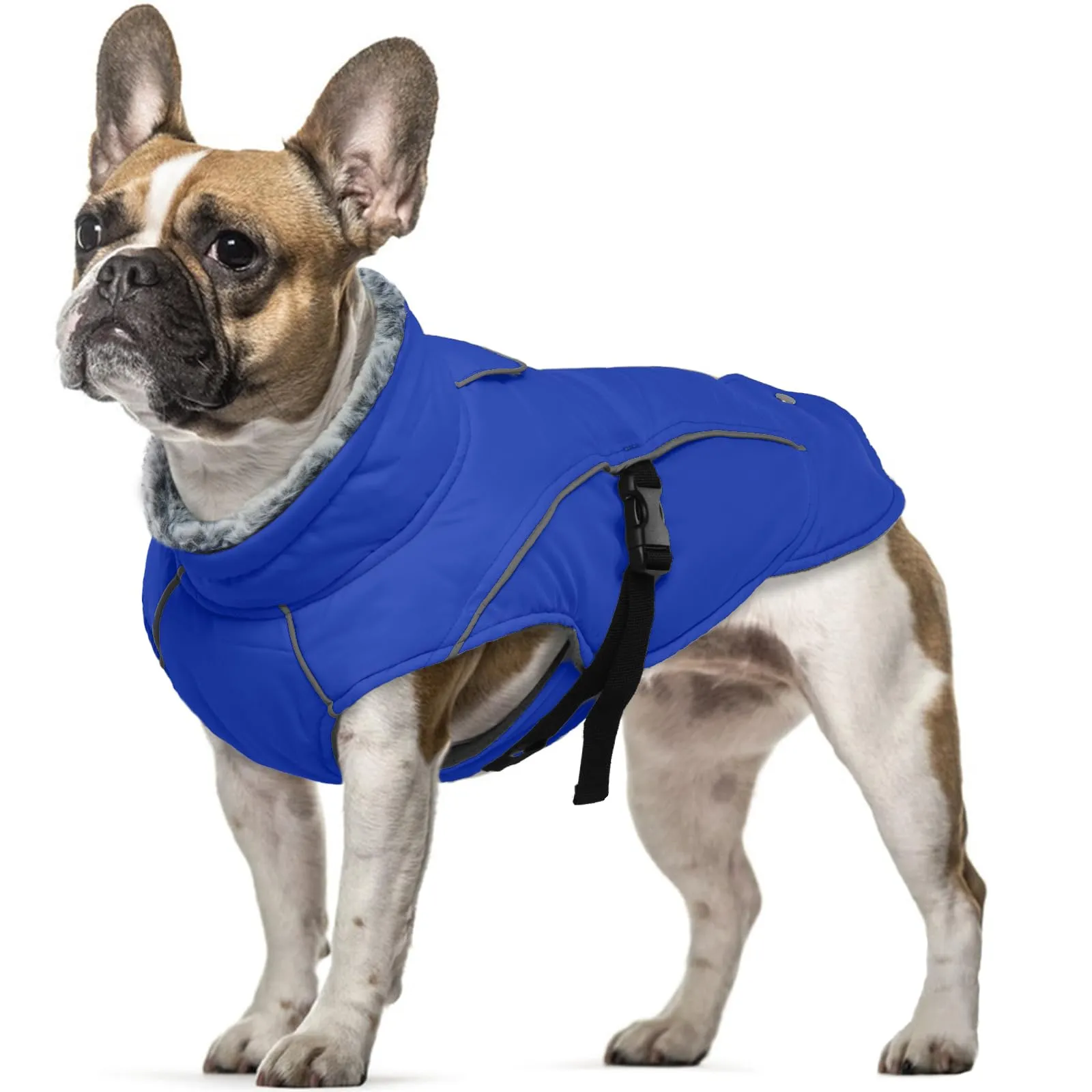 Cappotto invernale impermeabile per cani, caldo, in pile, per l'inverno e il freddo, con colletto in pile, caldo abbigliamento per cani (blu, S) - immagine 1