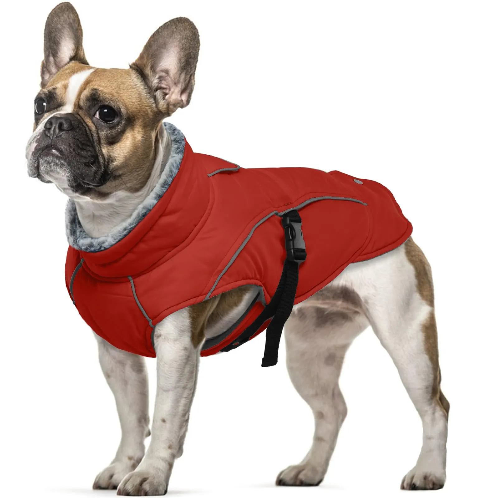 Cappotto invernale per cani di piccola taglia, in pile, caldo per il freddo, comodo, per cani di piccola taglia, giacca riscaldata da neve con fodera in pile (rosso, S) - immagine 1