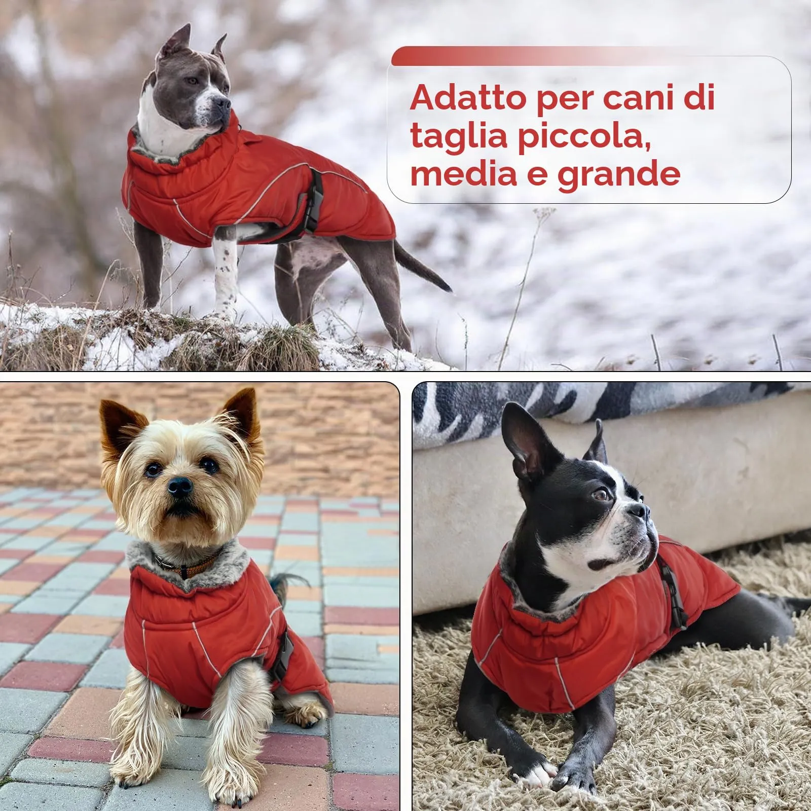 Cappotto invernale per cani di piccola taglia, in pile, caldo per il freddo, comodo, per cani di piccola taglia, giacca riscaldata da neve con fodera in pile (rosso, S) - immagine 6