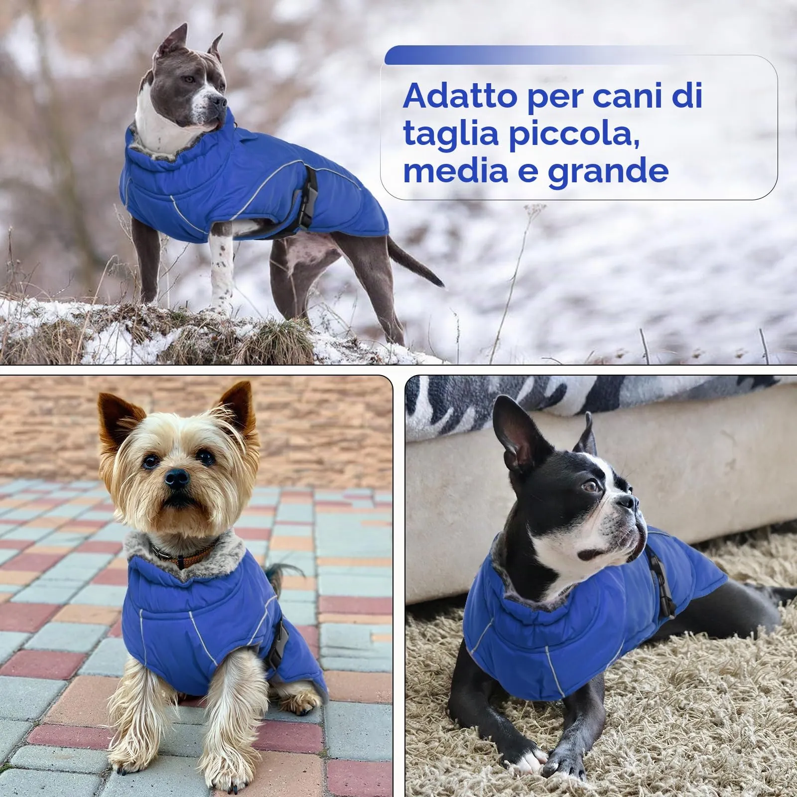 Cappotto per Cani Taglia Media, Cappottino Impermeabile per Cani Regolabile Piumino Cani Antivento Riflettente Cappotto Fleece Invernale per Cani(Blu, M) - immagine 6