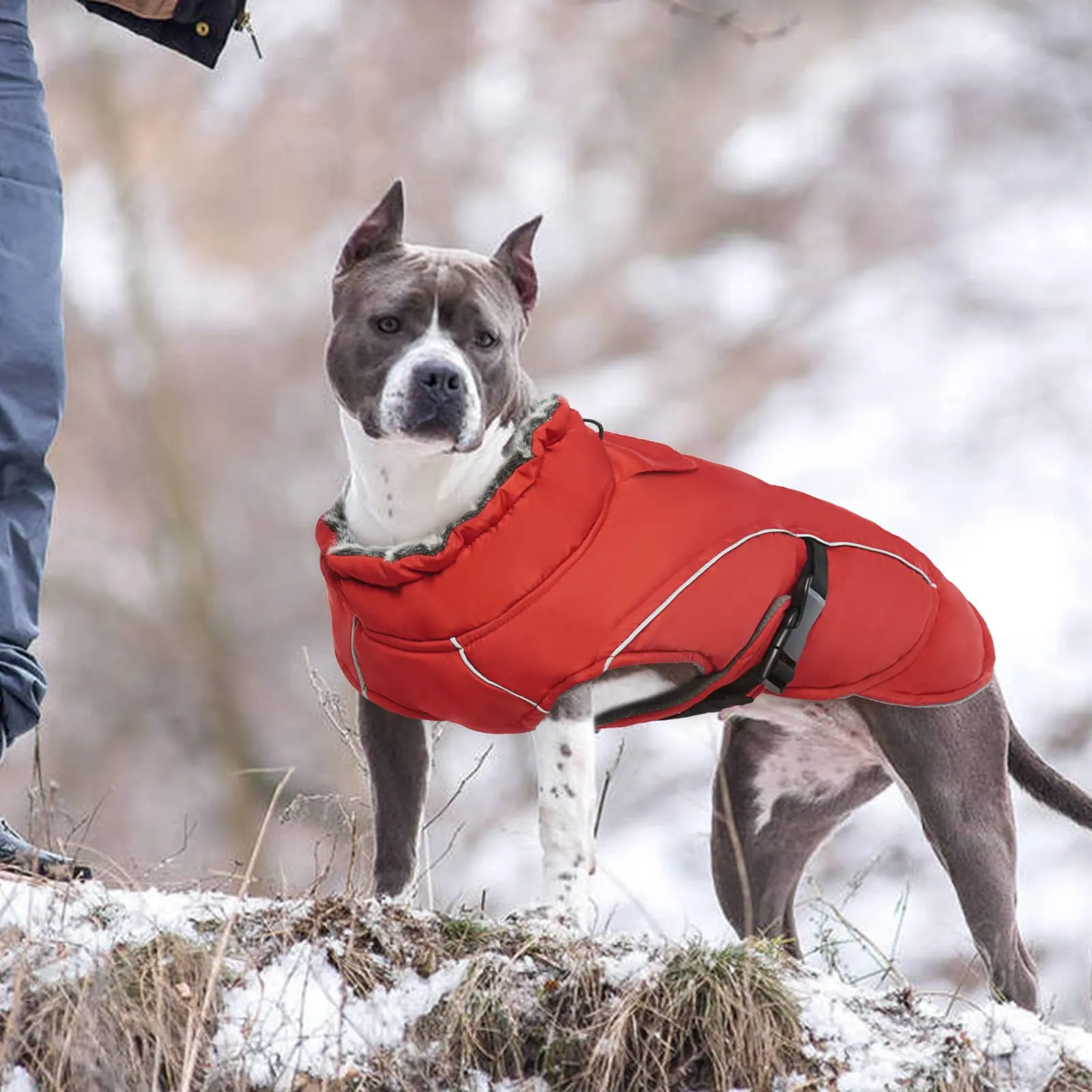 Cappotto Invernale per Cani Grandi, Giacca Impermeabile Neve, Gilet in Pile Caldo Antivento per Esterno XXL (Rosso, 2XL) - immagine 7
