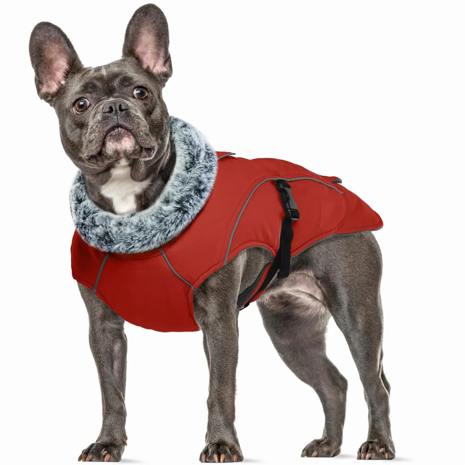 Cappotto per Cani Taglia Media, Cappottino Impermeabile per Cani Regolabile Piumino Cani Antivento Riflettente Cappotto Fleece Invernale per Cani(Rosso, M) - immagine 1