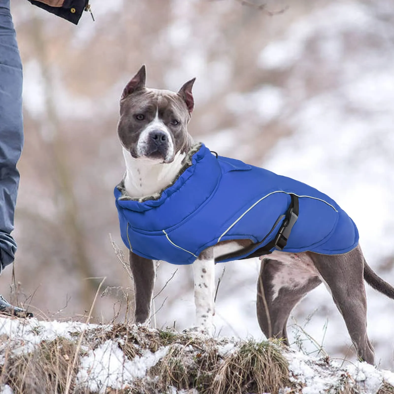 Cappotto invernale per cani, impermeabile, caldo, spesso, per interni, tostato, confortevole, foderato in pile, per cani di taglia grande (blu, 2XL) - immagine 7