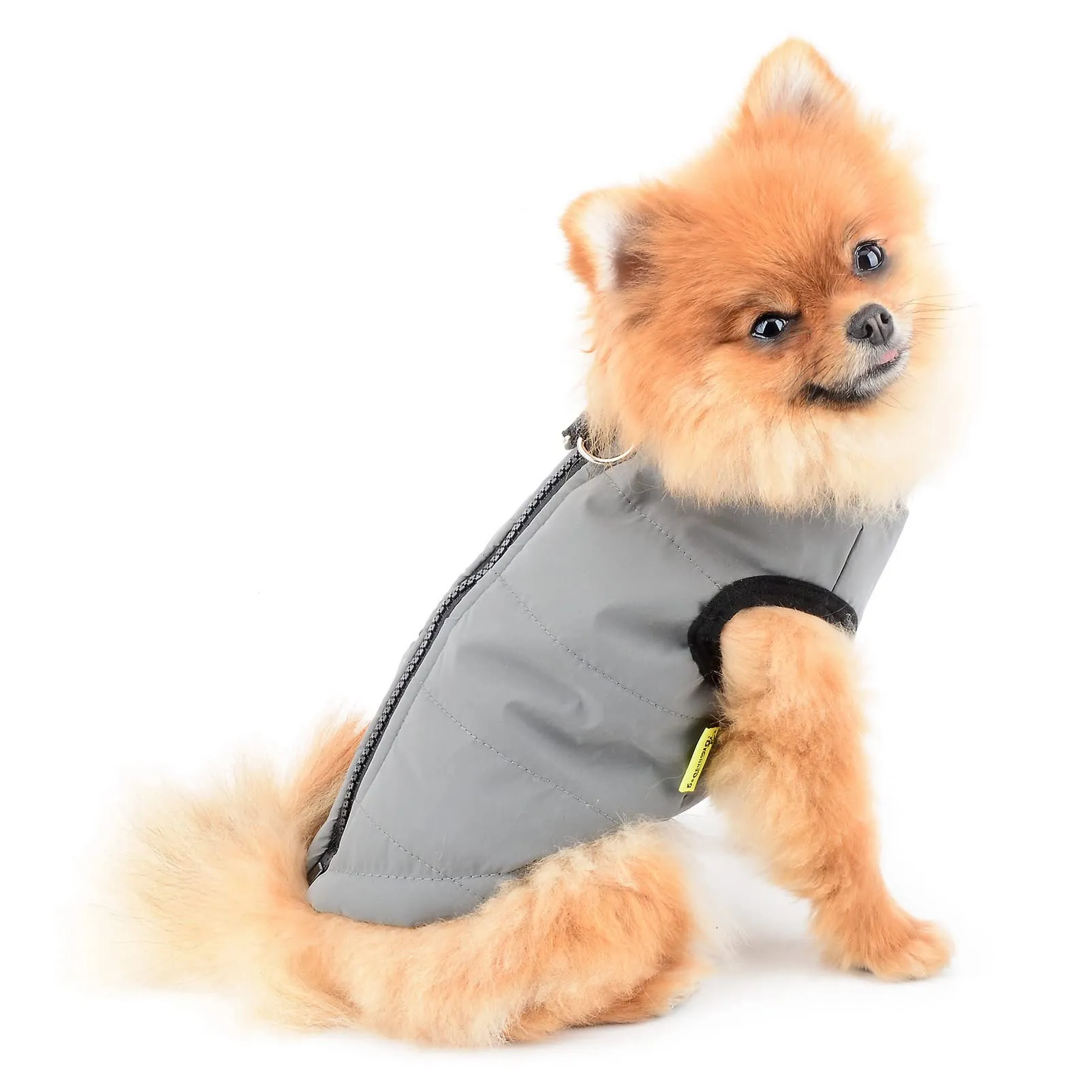 SMALLLEE_LUCKY_STORE Giacca invernale impermeabile per animali domestici con anello a D per cani di piccola taglia e gatti,cerniera cuccioli di chihuahua Yorkie gattino vestiti caldi, grigio, M - immagine 4