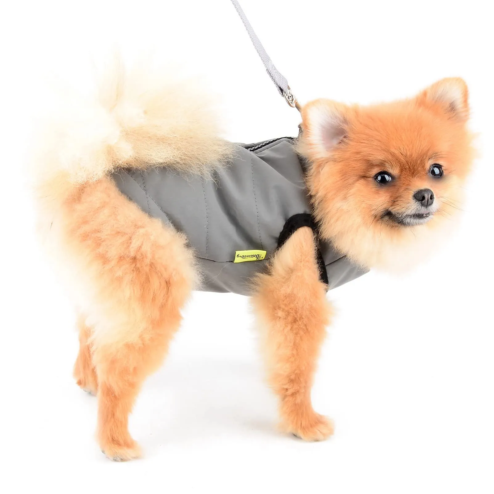 SMALLLEE_LUCKY_STORE Giacca invernale impermeabile per animali domestici con anello a D per cani di piccola taglia e gatti,cerniera cuccioli di chihuahua Yorkie gattino vestiti caldi, grigio, XS - immagine 2