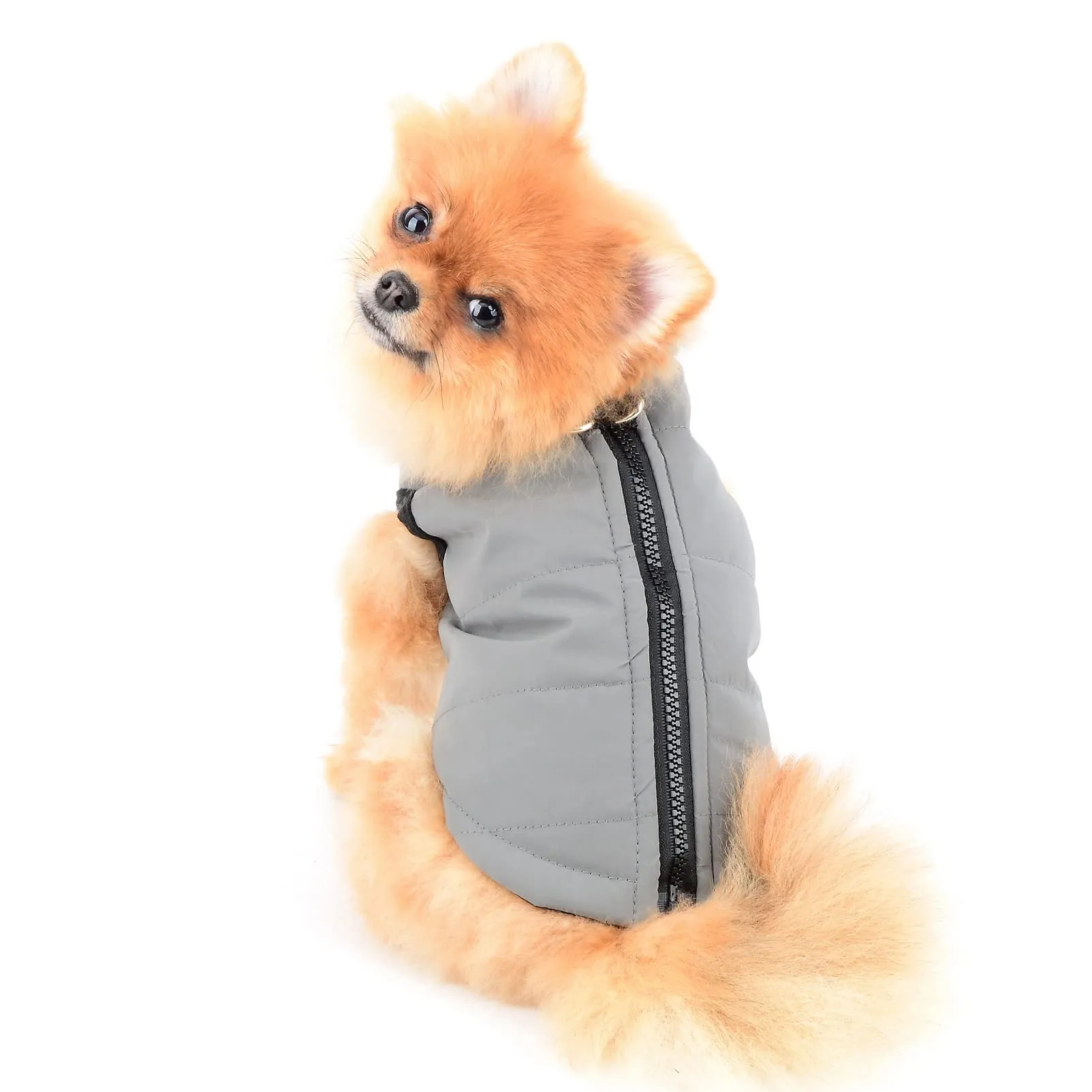 SMALLLEE_LUCKY_STORE Giacca invernale impermeabile per animali domestici con anello a D per cani di piccola taglia e gatti,cerniera cuccioli di chihuahua Yorkie gattino vestiti caldi, grigio, XS - immagine 3