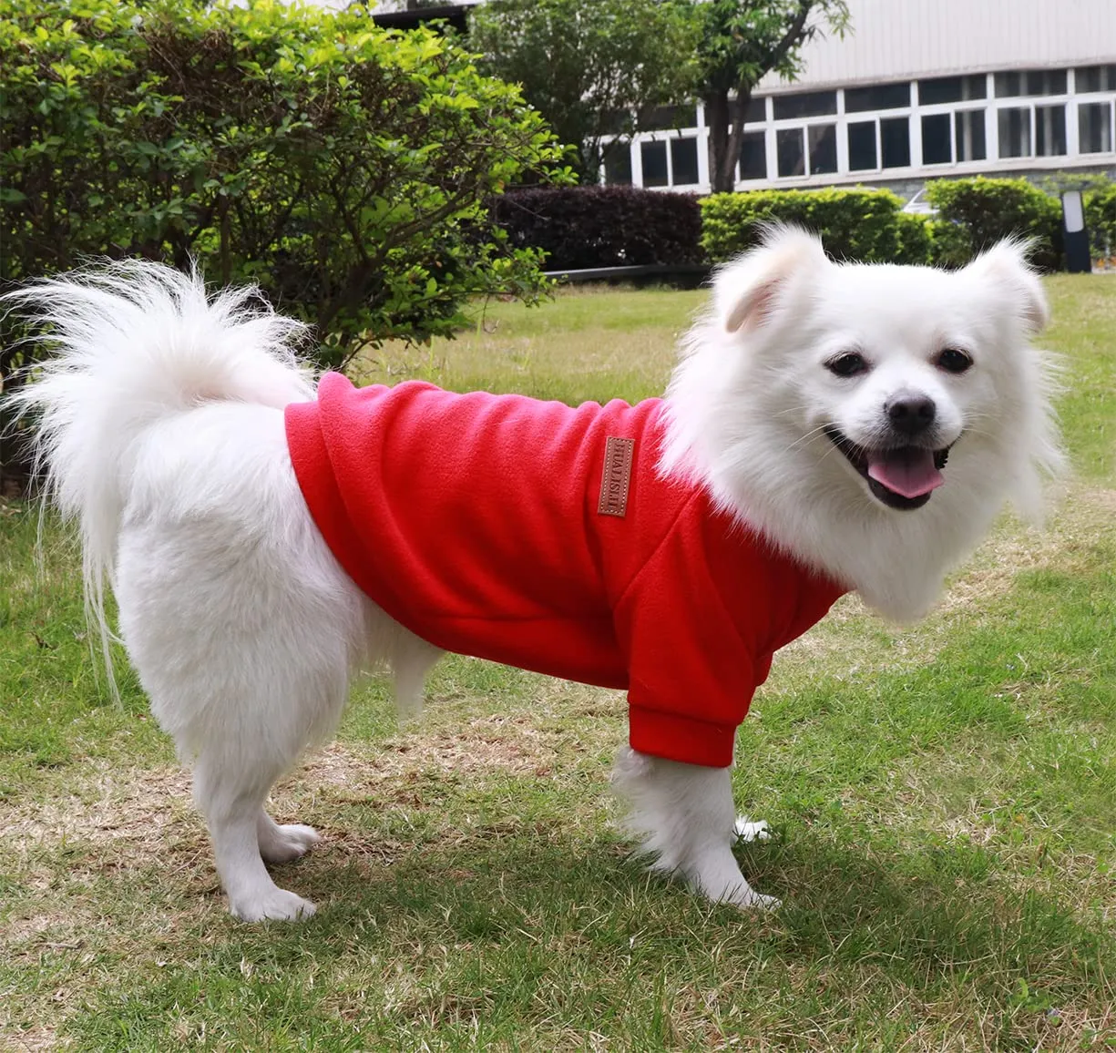 HuaLiSiJi Felpa Cane Pile Felpa per Cani Maglioncino Cane Maglione Chihuahua,Con Una Texture Morbida, Elastico Facile da Indossare e Colori Vivaci (XS,Rosso+Blu) - immagine 4