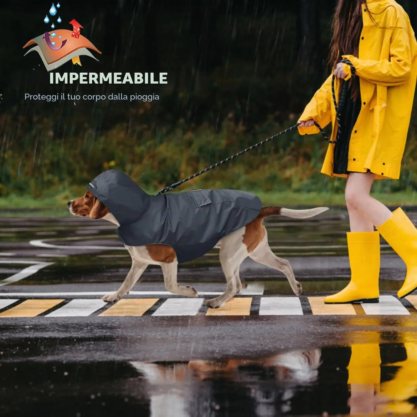 Idepet - Mantella per cani con cappuccio e foro per il collare, impermeabile e riflettente, per cani di piccola, media e grande taglia - immagine 5