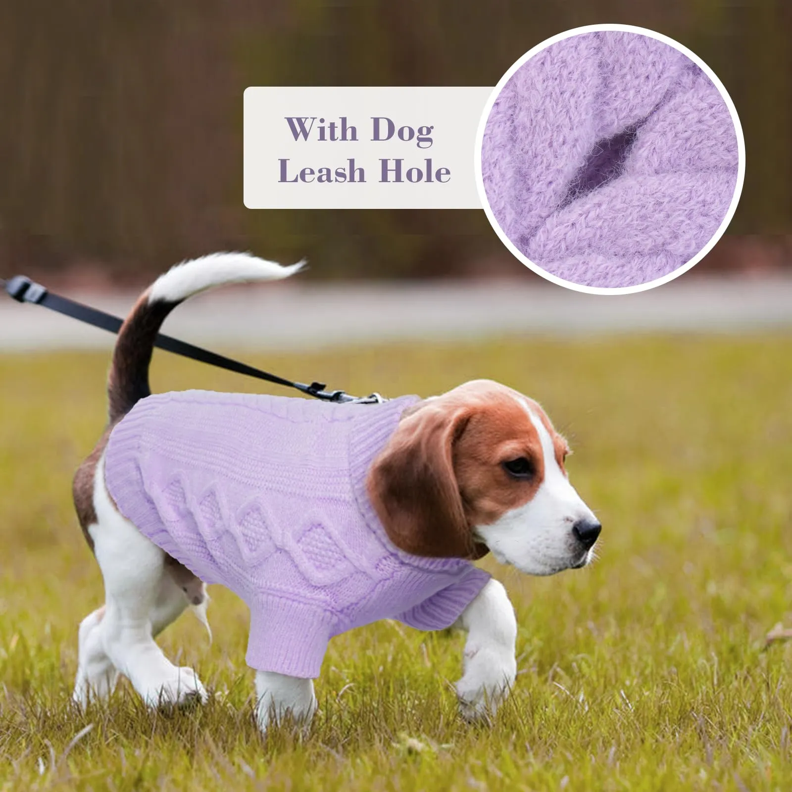 Hjumarayan Maglione Cane - Maglioncino Cane Taglia Media Maglioncino per Cani Semplice & Elegante Maglioncini per Cani con Foro per Guinzaglio, Maglia Termica Cane per Bulldog Francese (Viola M) - immagine 7